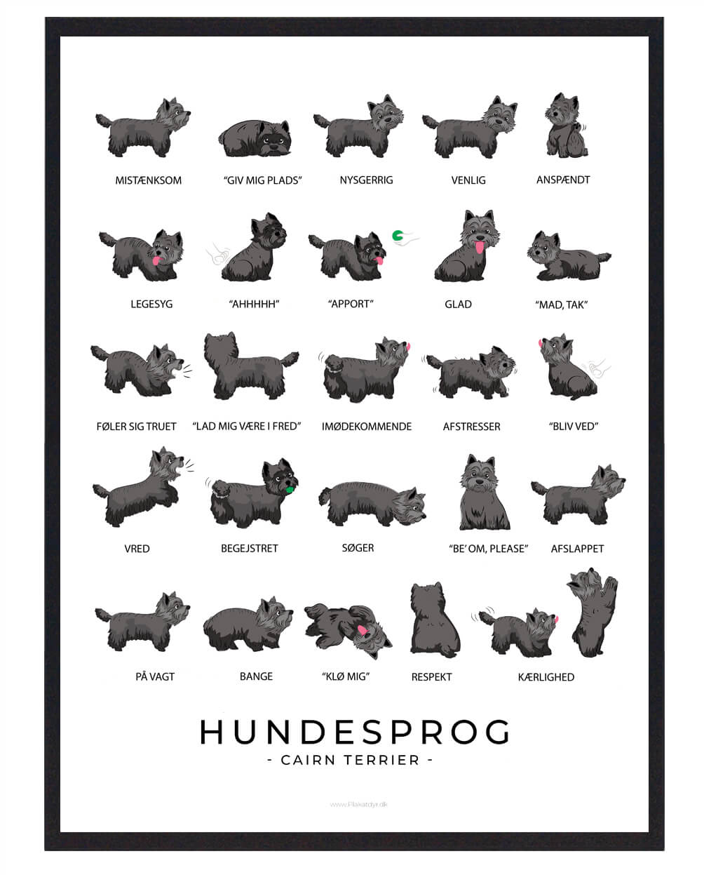 Sort Cairn Terrier Hundesprog Plakat - Plakatdyr.dk Plakater