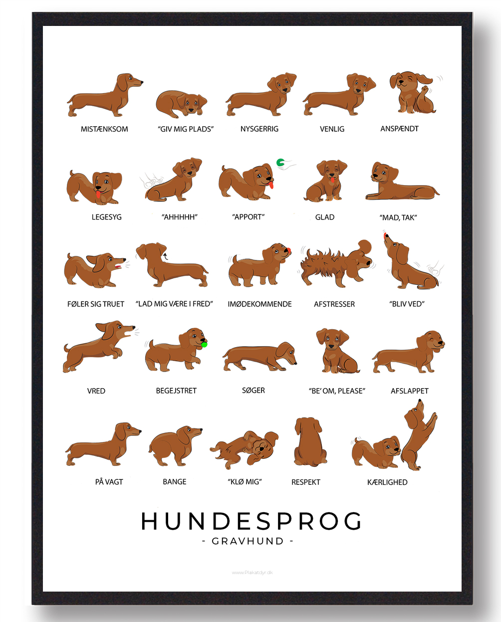 Gravhund Plakat Hundesprog - Plakatdyr.dk Plakater