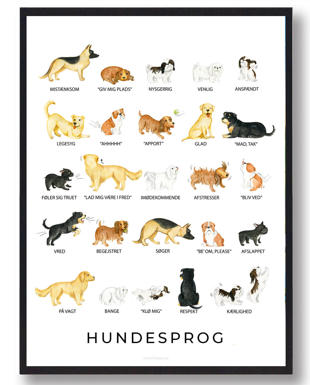 Hundesprog Plakat - Plakatdyr.dk Plakater