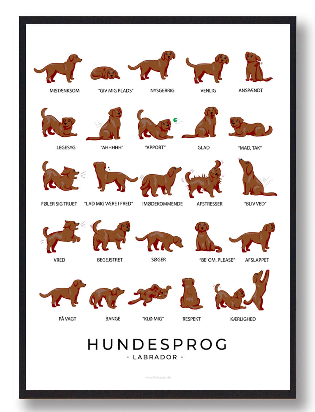 Brun Labrador Hundesprog Plakat - Plakatdyr.dk Plakater