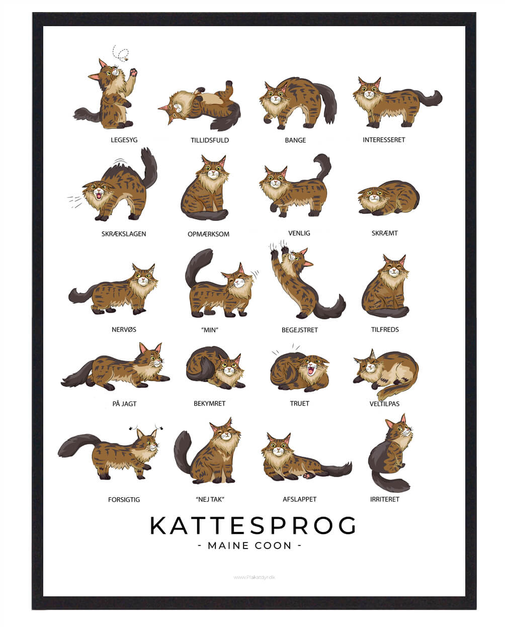 Kattesprog Maine Coon Plakat - Plakatdyr.dk Plakater