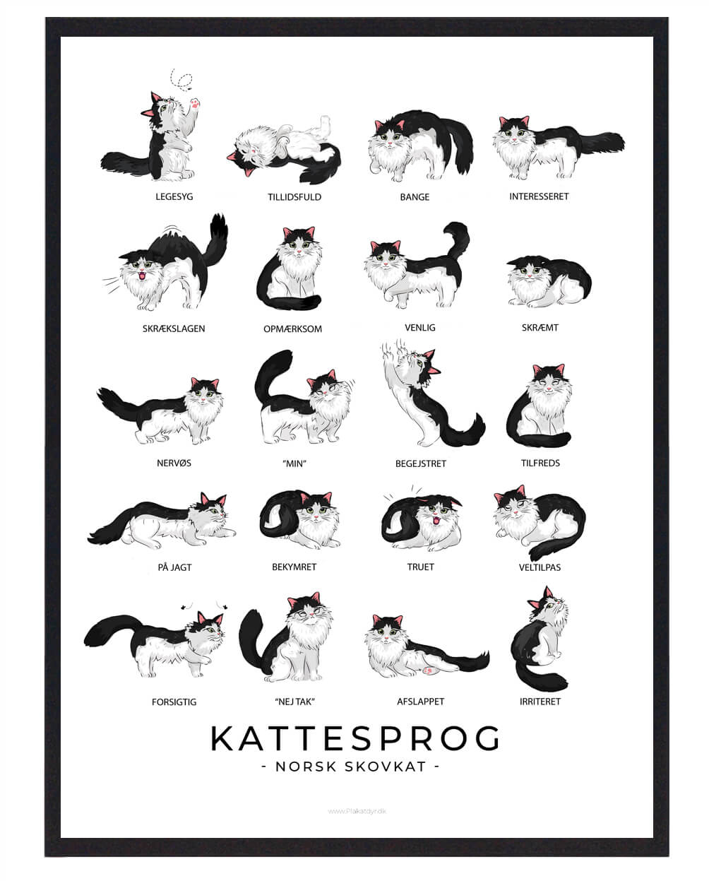 Kattesprog Norsk Skovkat Plakat - Plakatdyr.dk Plakater