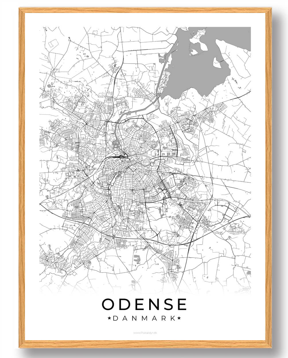 Hvid Odense Plakat - Plakatdyr.dk Plakater