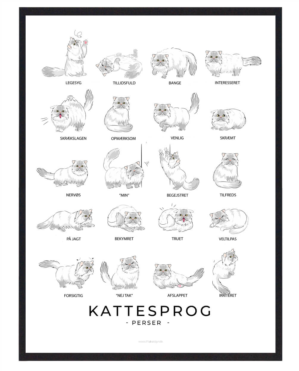 Hvid Kattesprog Perser Kat Plakat - Plakatdyr.dk Plakater