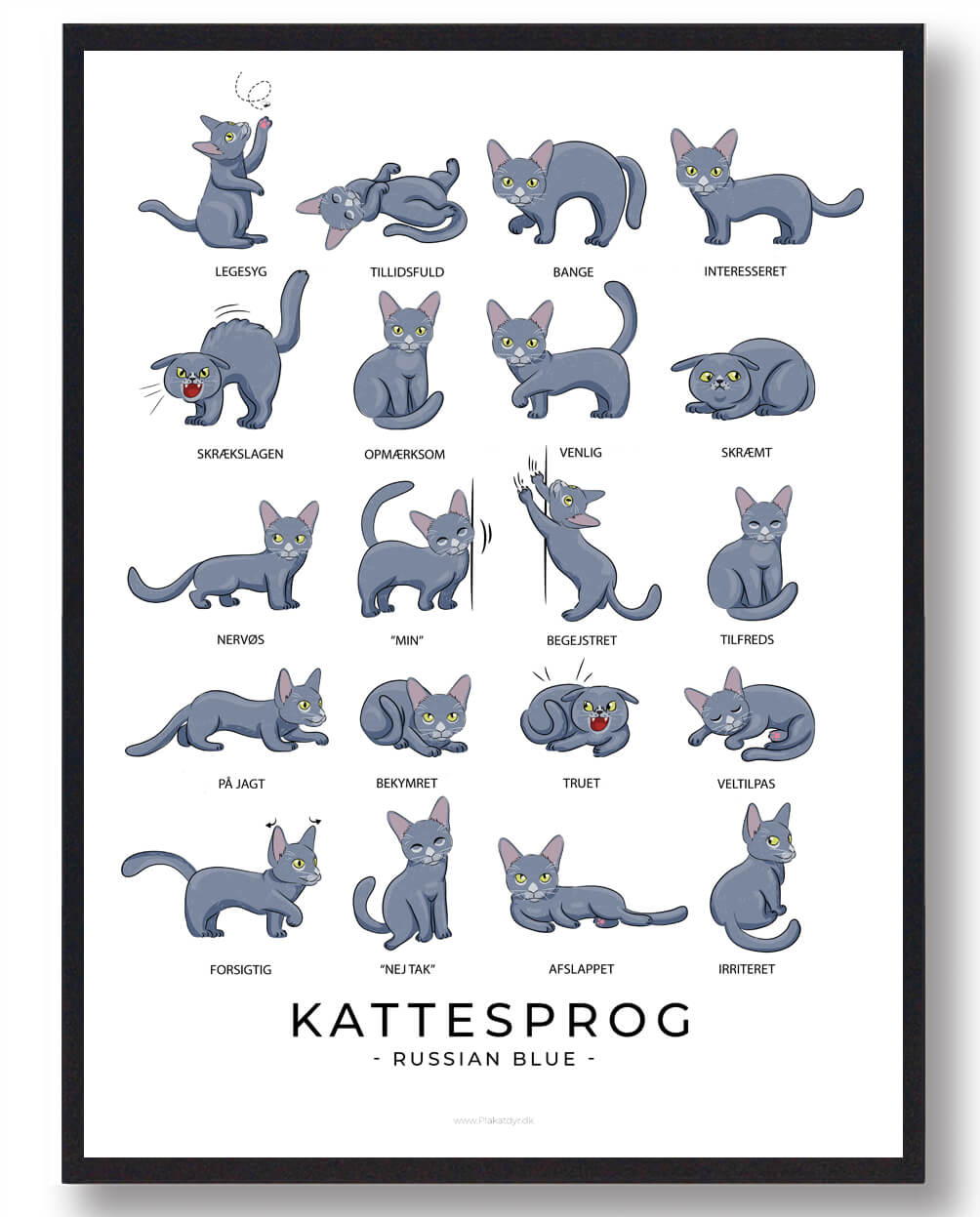 Kattesprog Russian Blue Katte Plakat - Plakatdyr.dk Plakater