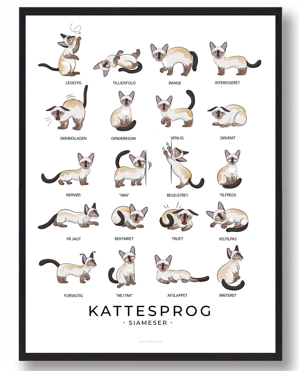 Kattesprog Siameser Katte Plakat - Plakatdyr.dk Plakater