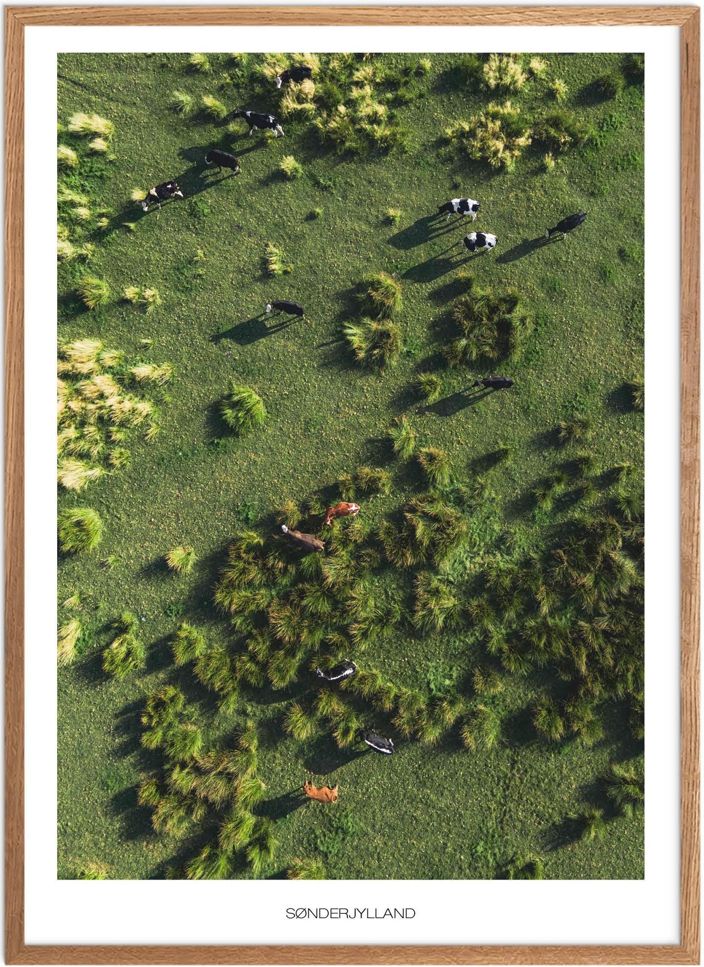 Naturplakat Plakater Sydjylland Plakat Plakatsnedkeren Drone Plakater - Plakatsnedkeren Plakater