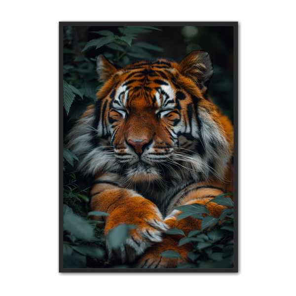 Tiger Plakat Dyreplakater - Plakat Portalen Plakater