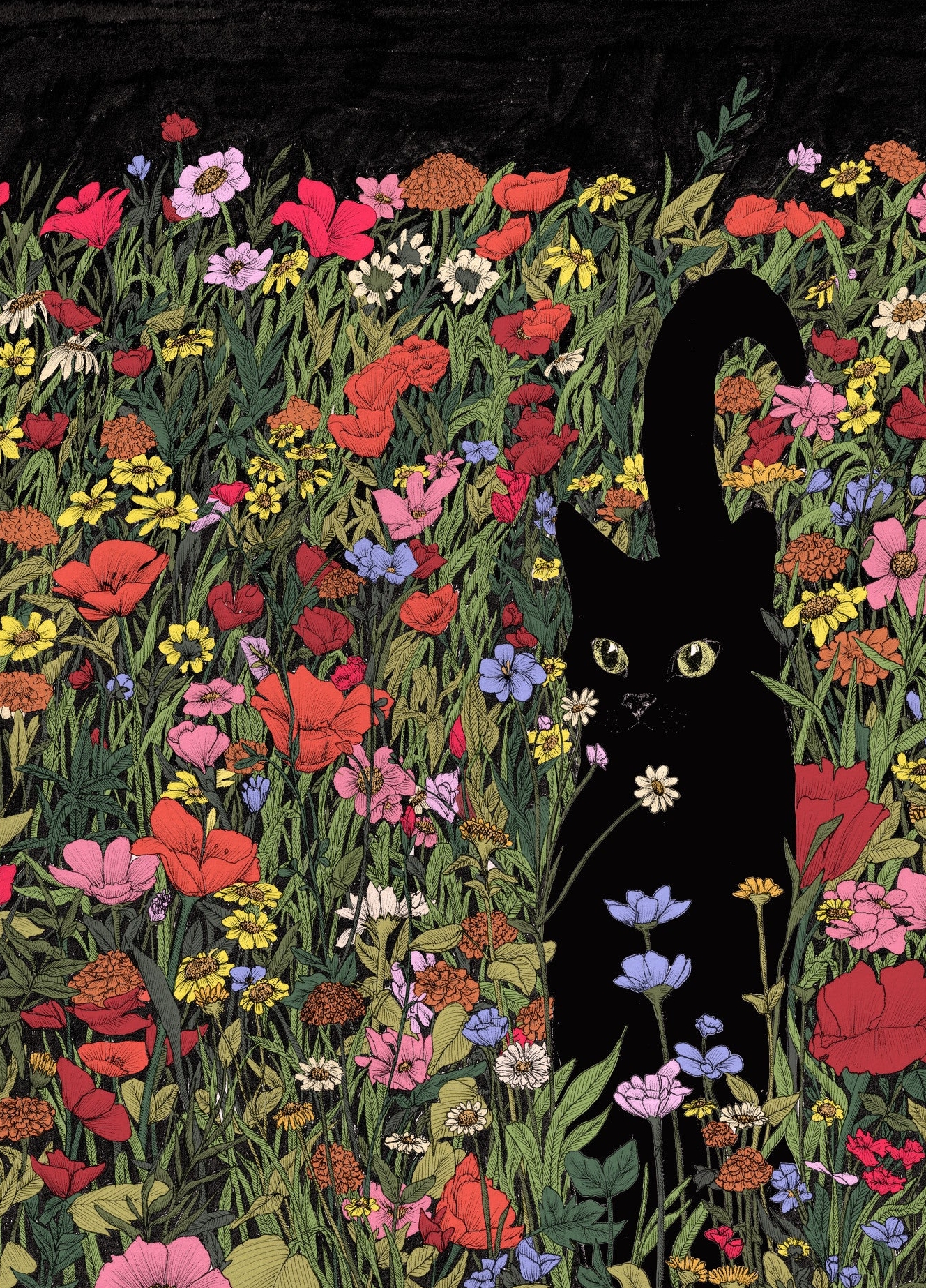 Rosa Black Meadow Cat Mazur - E C Mazur Plakater