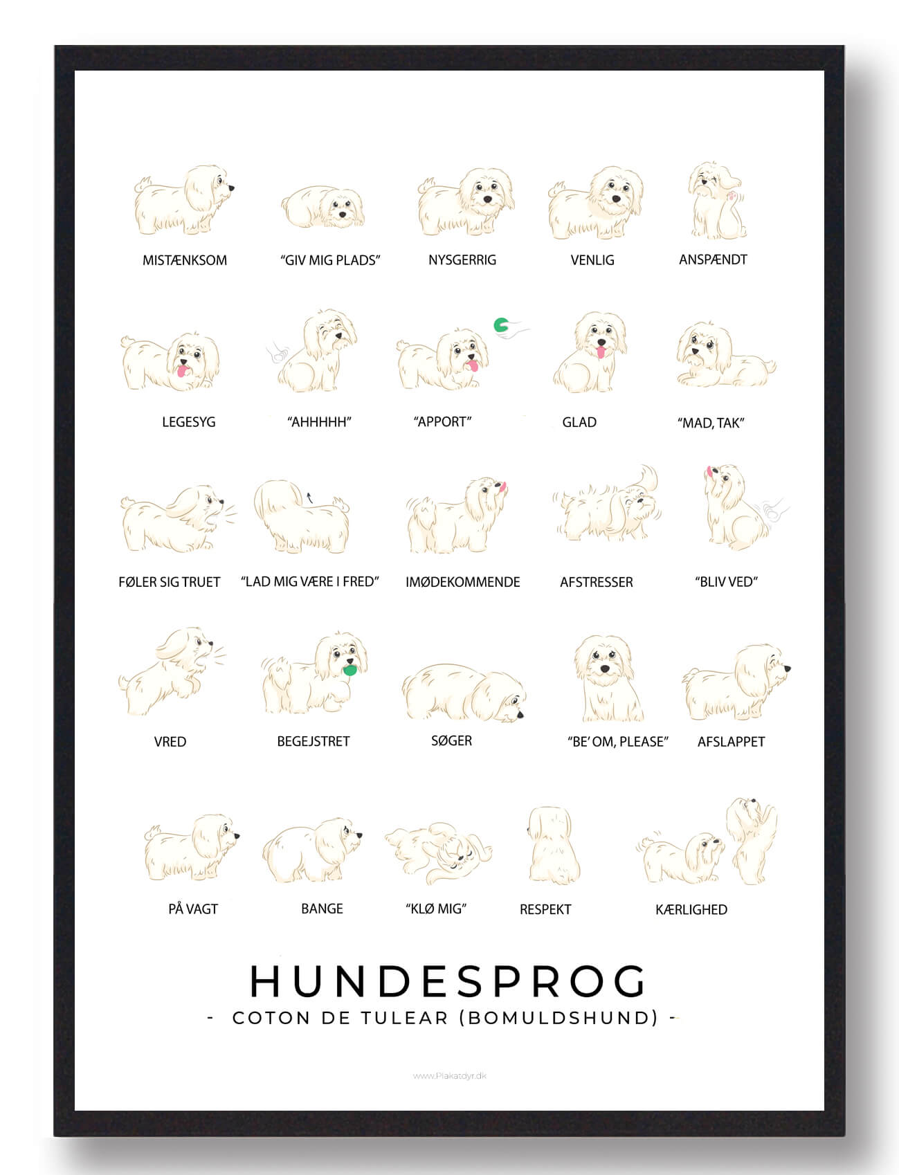 Coton Tulear Bomuldshund Plakat Hundesprog - Plakatdyr.dk Plakater