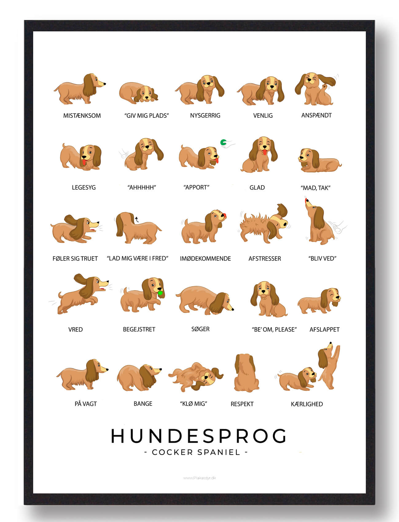 Cocker Spaniel Hundesprog Plakat - Plakatdyr.dk Plakater