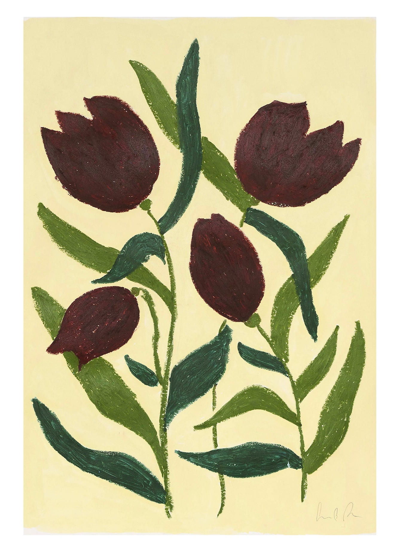 Rosa Dark Tulips Camilla Bergqvist - Plakater