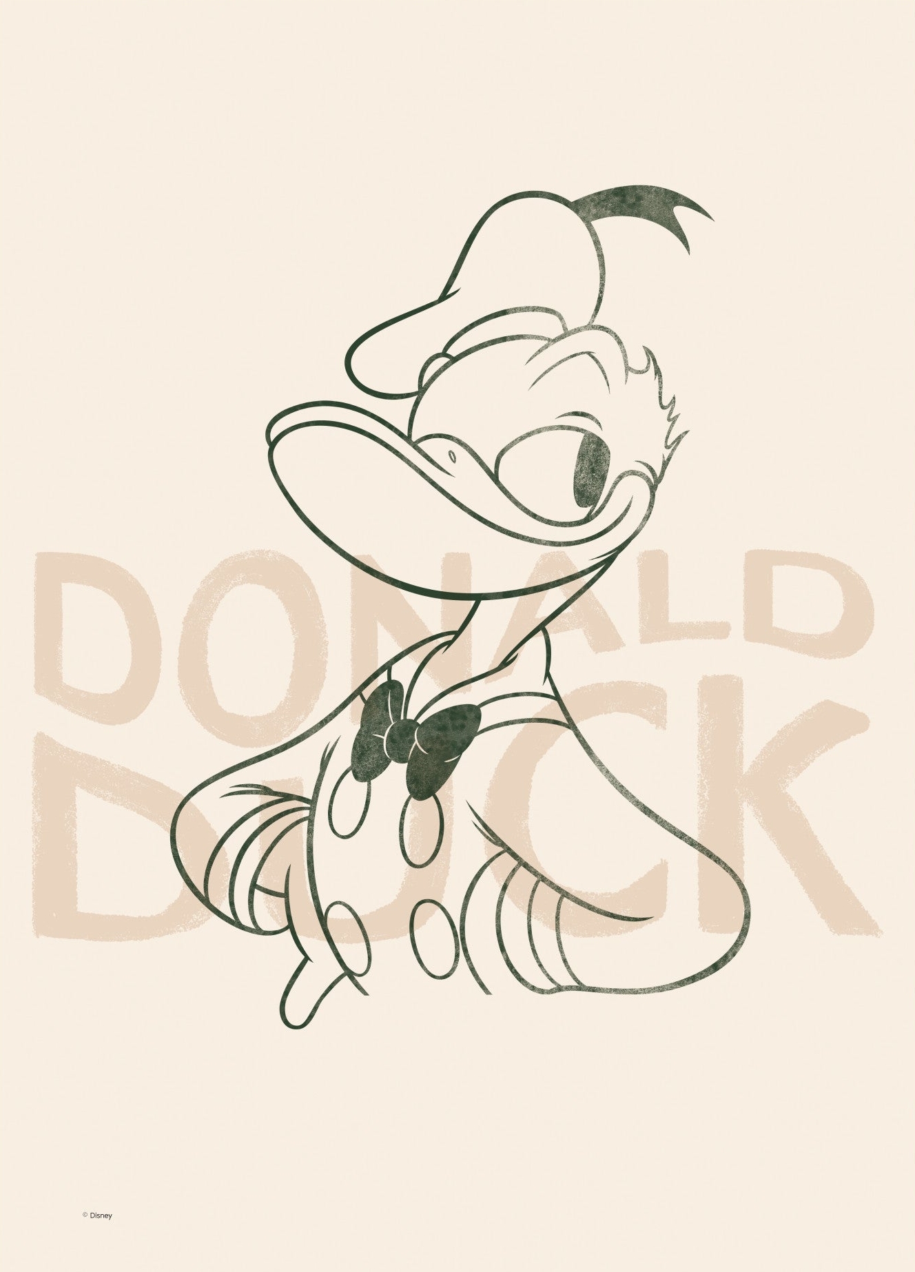 Rosa Donald Duck Green Poster Disney - Disney Plakater