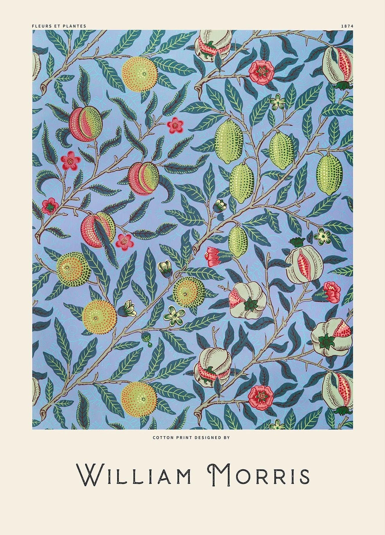 Rosa Fruits Blue William Morris - William Morris Plakater