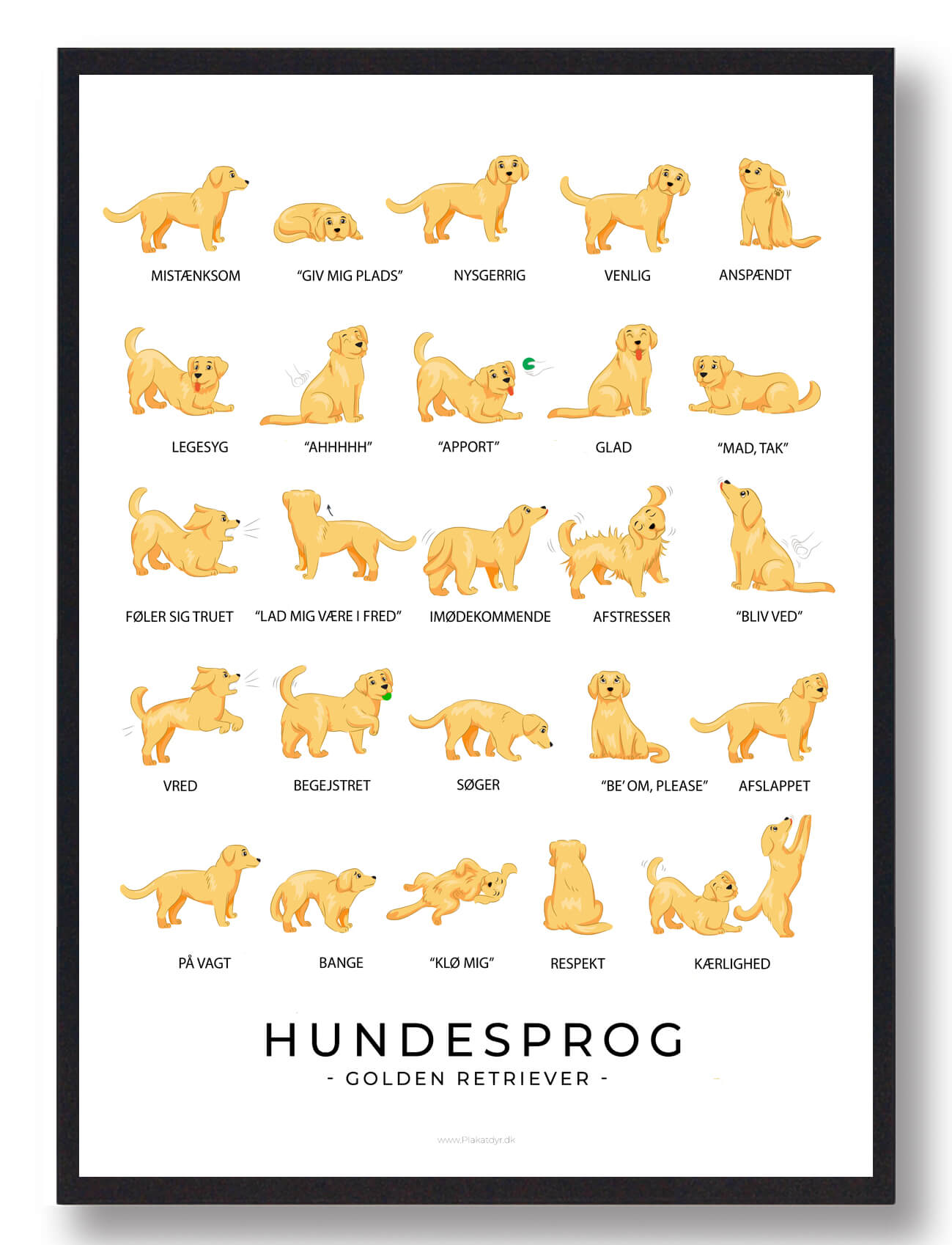 Golden Retriever Plakat Hundesprog - Plakatdyr.dk Plakater