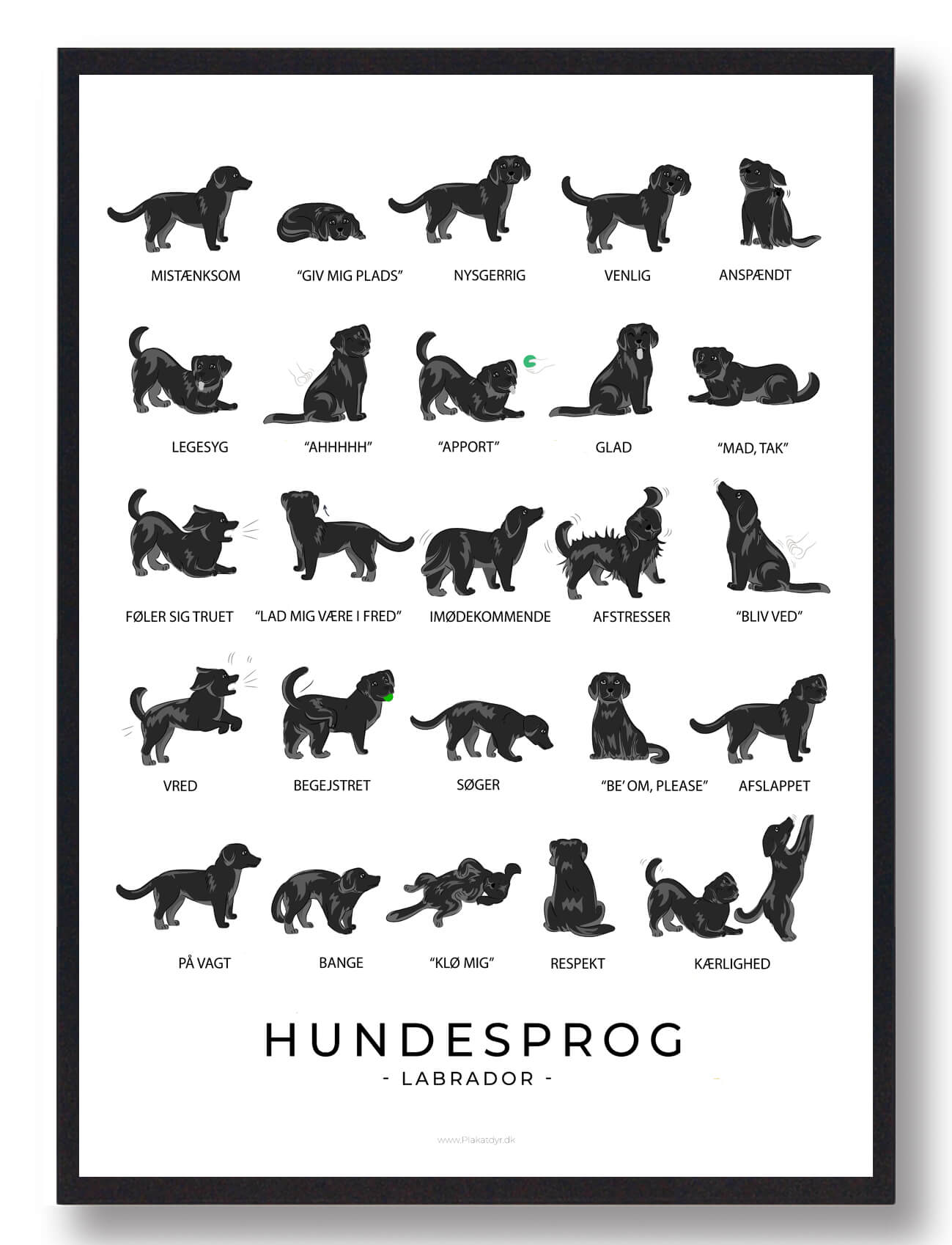 Sort Labrador Hundesprog Plakat - Plakatdyr.dk Plakater