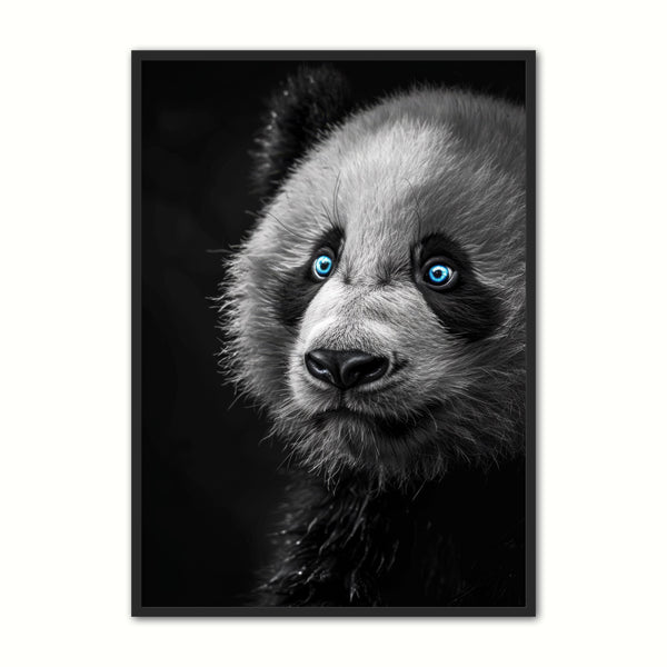 Blue Eyes Panda - Plakat Portalen Plakater