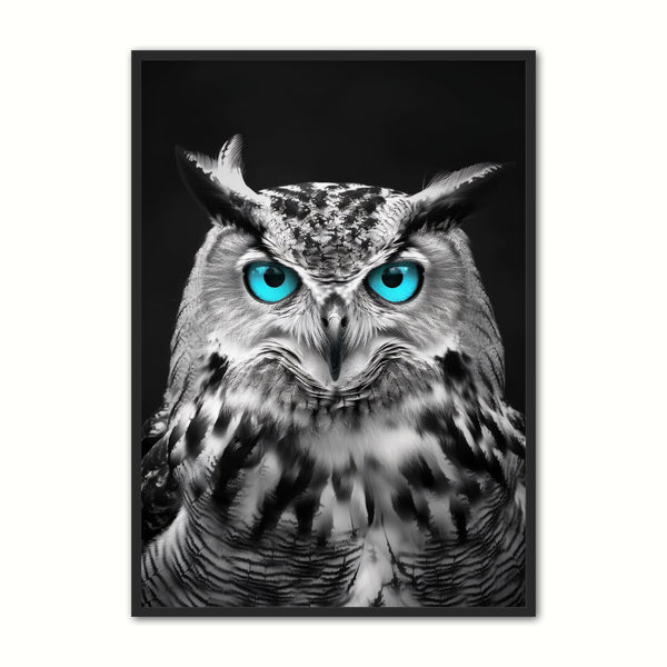 Blue Eyes Ugle - Plakat Portalen Plakater