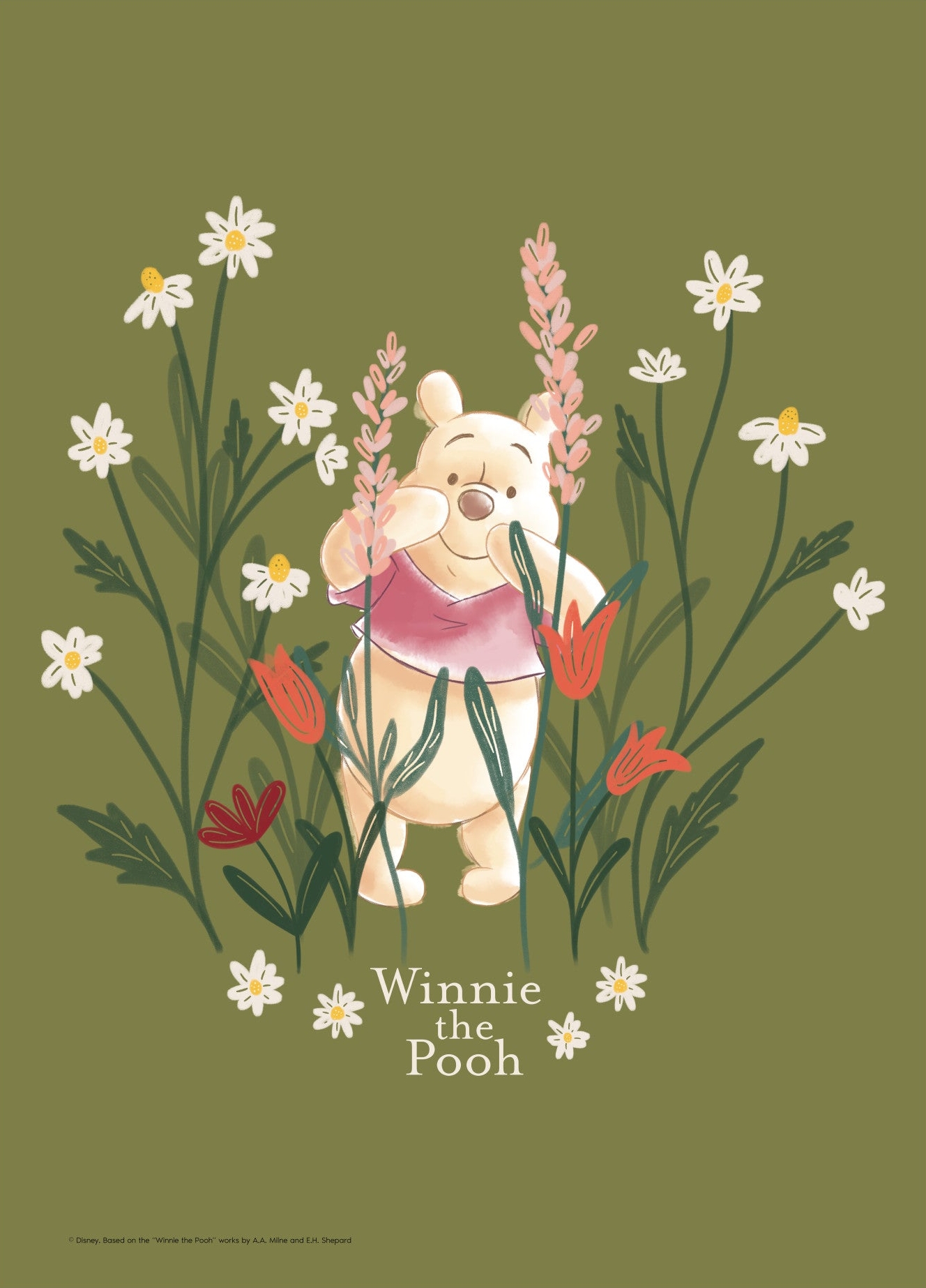 Rosa Peter Plys Blomstermarken Disney - Disney Plakater