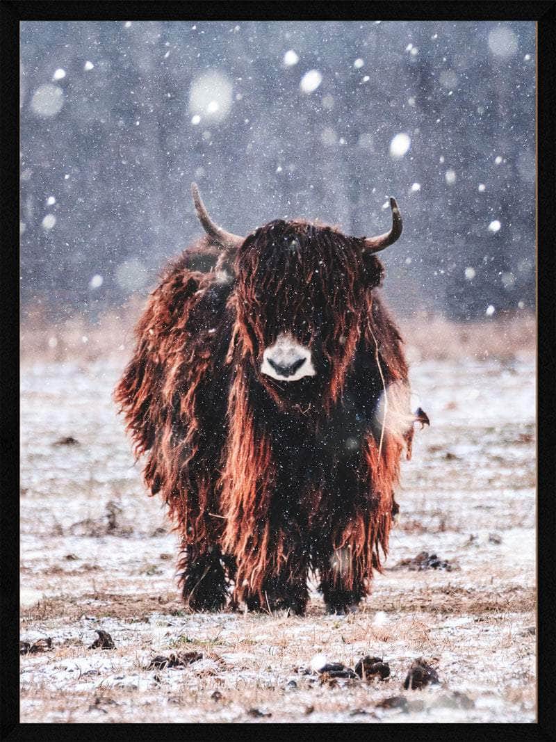 Yatokse Plakat - Postersbyus Plakater