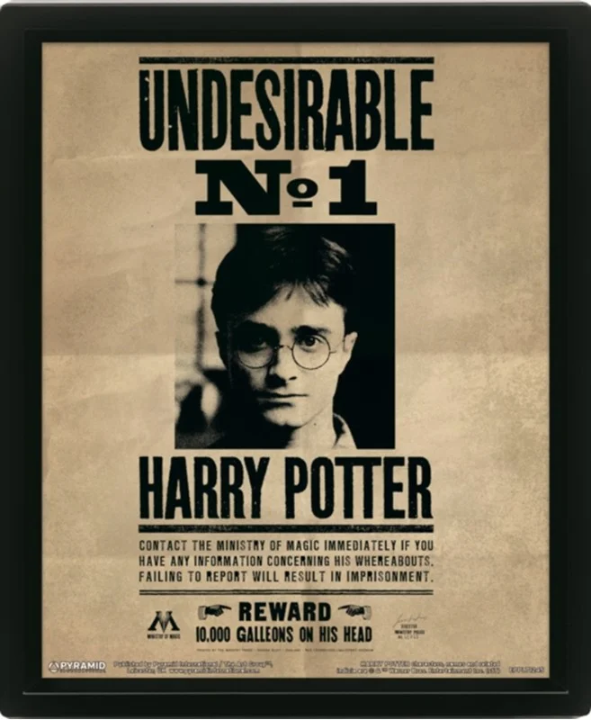 Harry Potter Harry & Sirius Framed Lenticular Poster Framed 2024 - Plakater  - 5051265970169