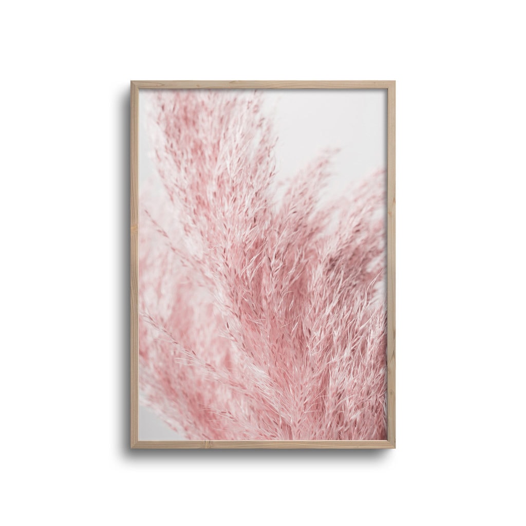 Siv No4 Plakat - Plakater