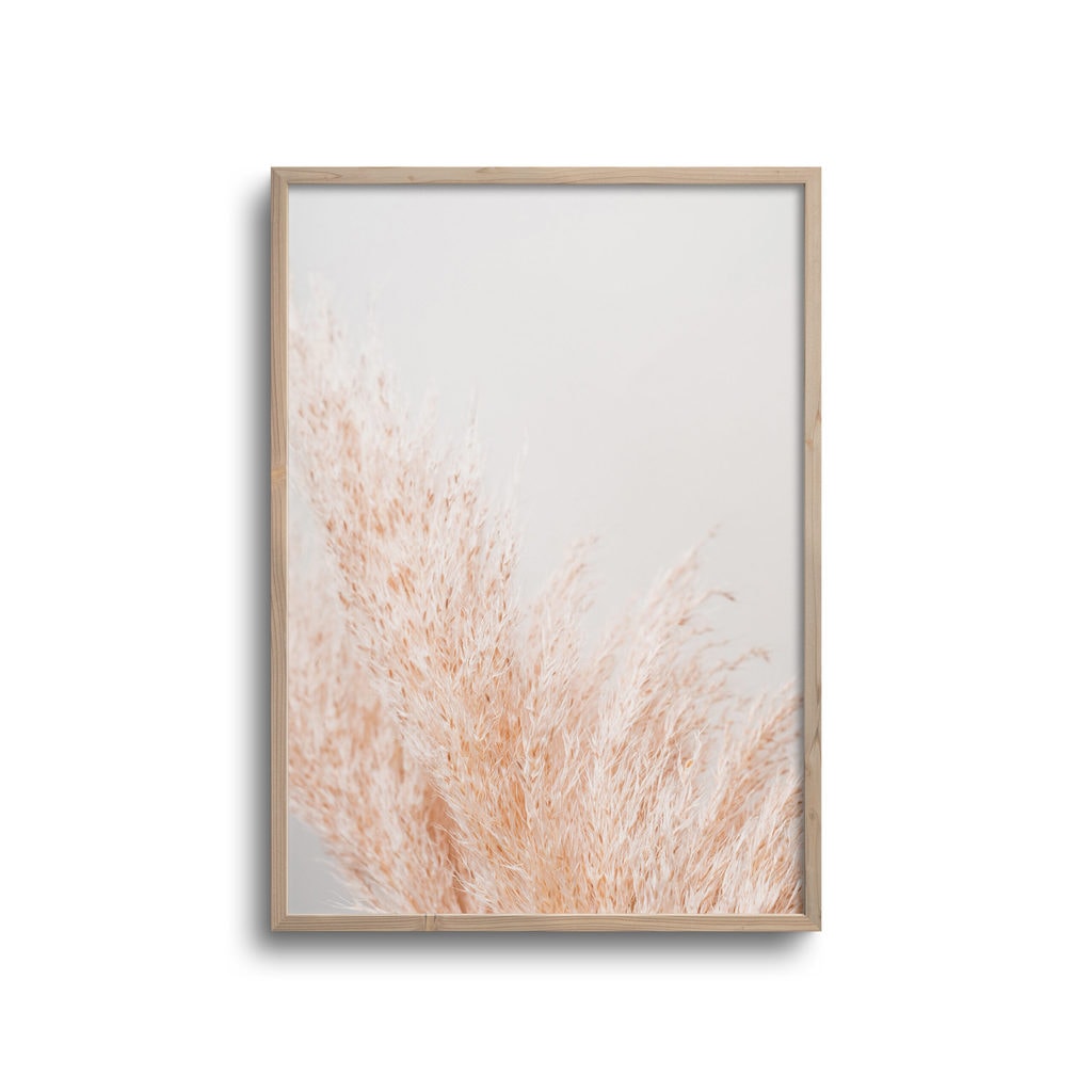 Siv No5 Plakat - Plakater