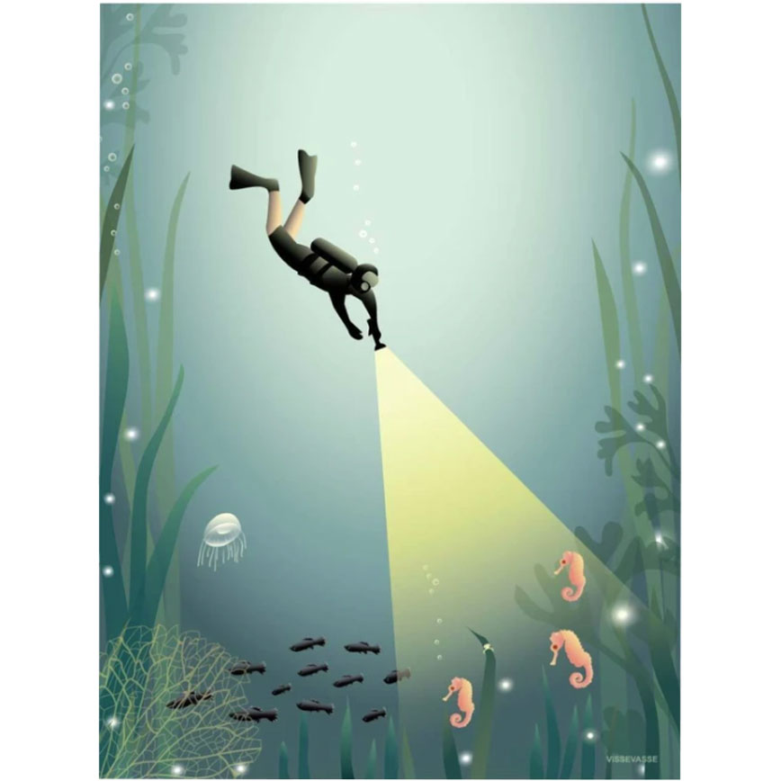 Plakat The Diver 50x70 - Vissevasse Plakater