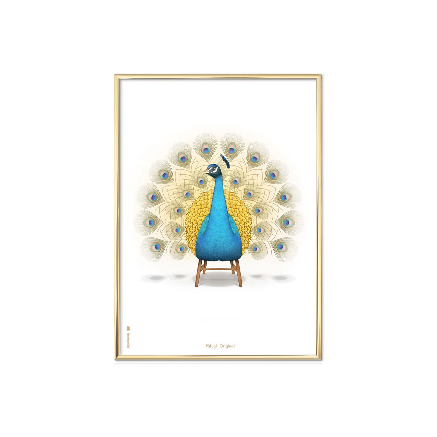 Hvid PÅfuglen Plakat 30x40cm Baggrund - Brainchild Plakater