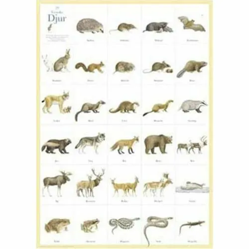 Svenska Djur Plakat - Hjelm Förlag Plakater  - 7393182007237
