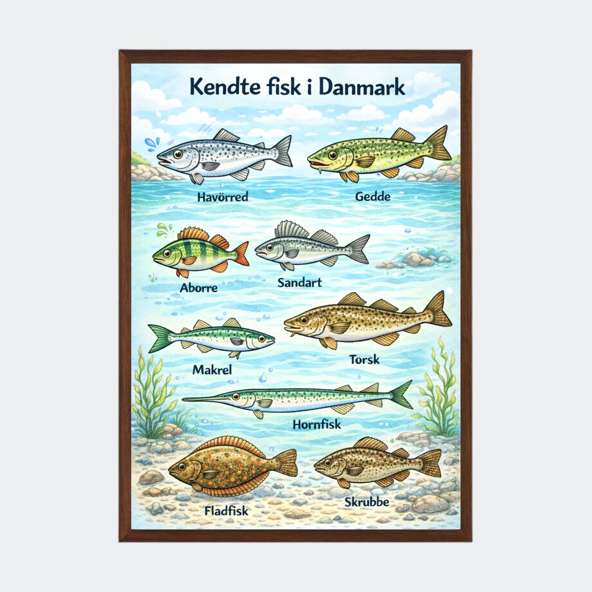 Mørk Eg Plakat Alm Danske Fisk Plakater Mørk 10x15 - Plakater