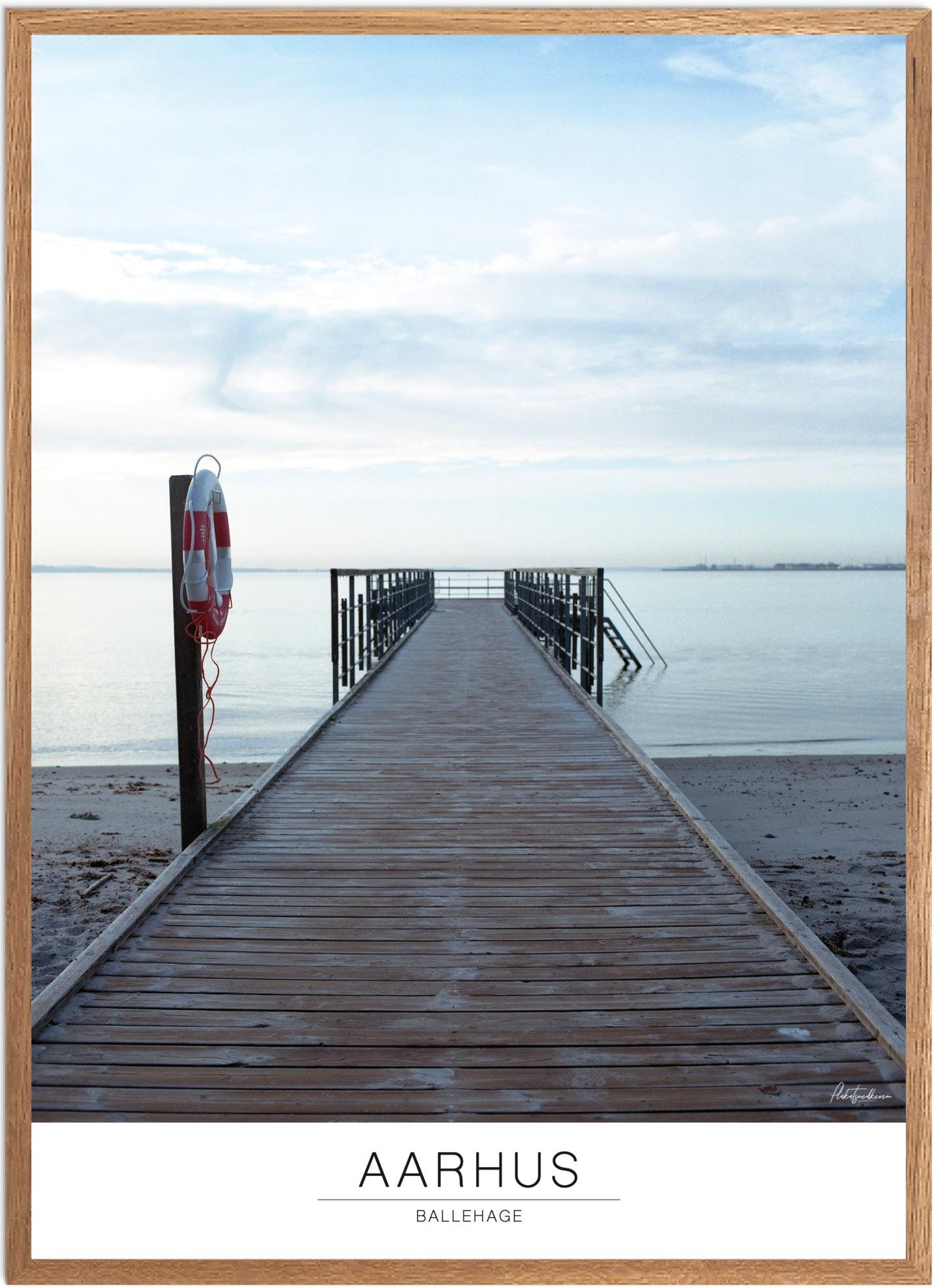 Plakat Ballehage Strand Naturplakat Recommended Products Seguno Plakat Plakatsnedkeren - Plakatsnedkeren Plakater