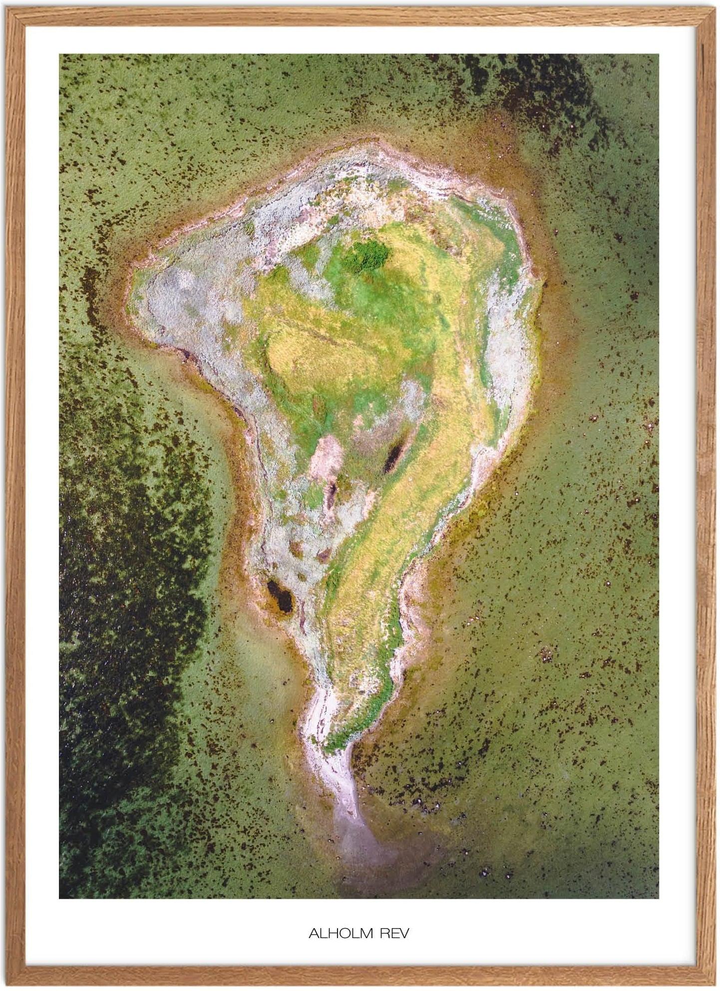 Plakat Alholm Rev Naturplakat Plakater Nordsjælland Plakat Plakatsnedkeren Plakater Østsjælland - Plakatsnedkeren Plakater