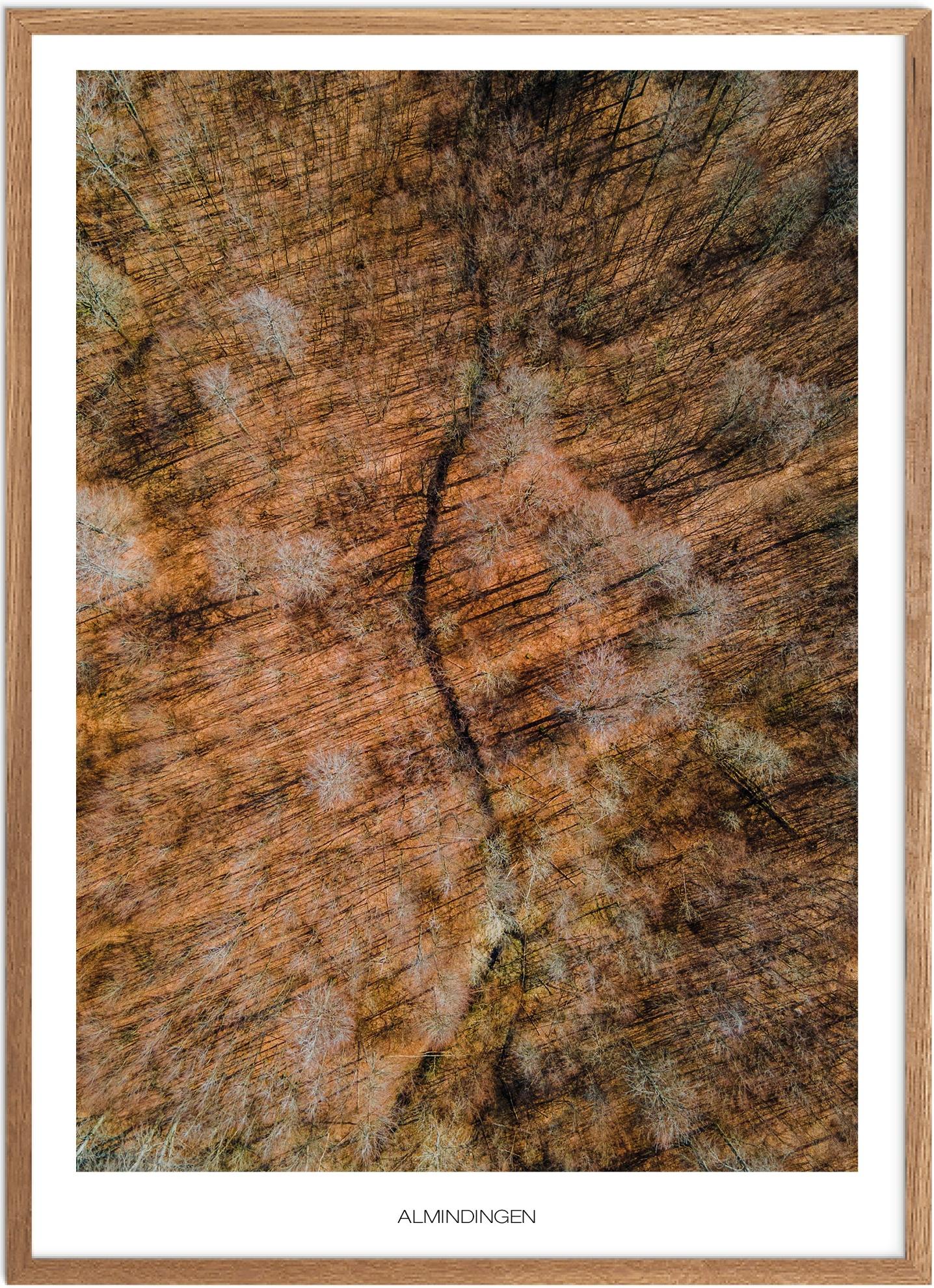 Plakat Almindingen Naturplakat Plakater Bornholm Plakat Plakatsnedkeren Drone Plakater - Plakatsnedkeren Plakater