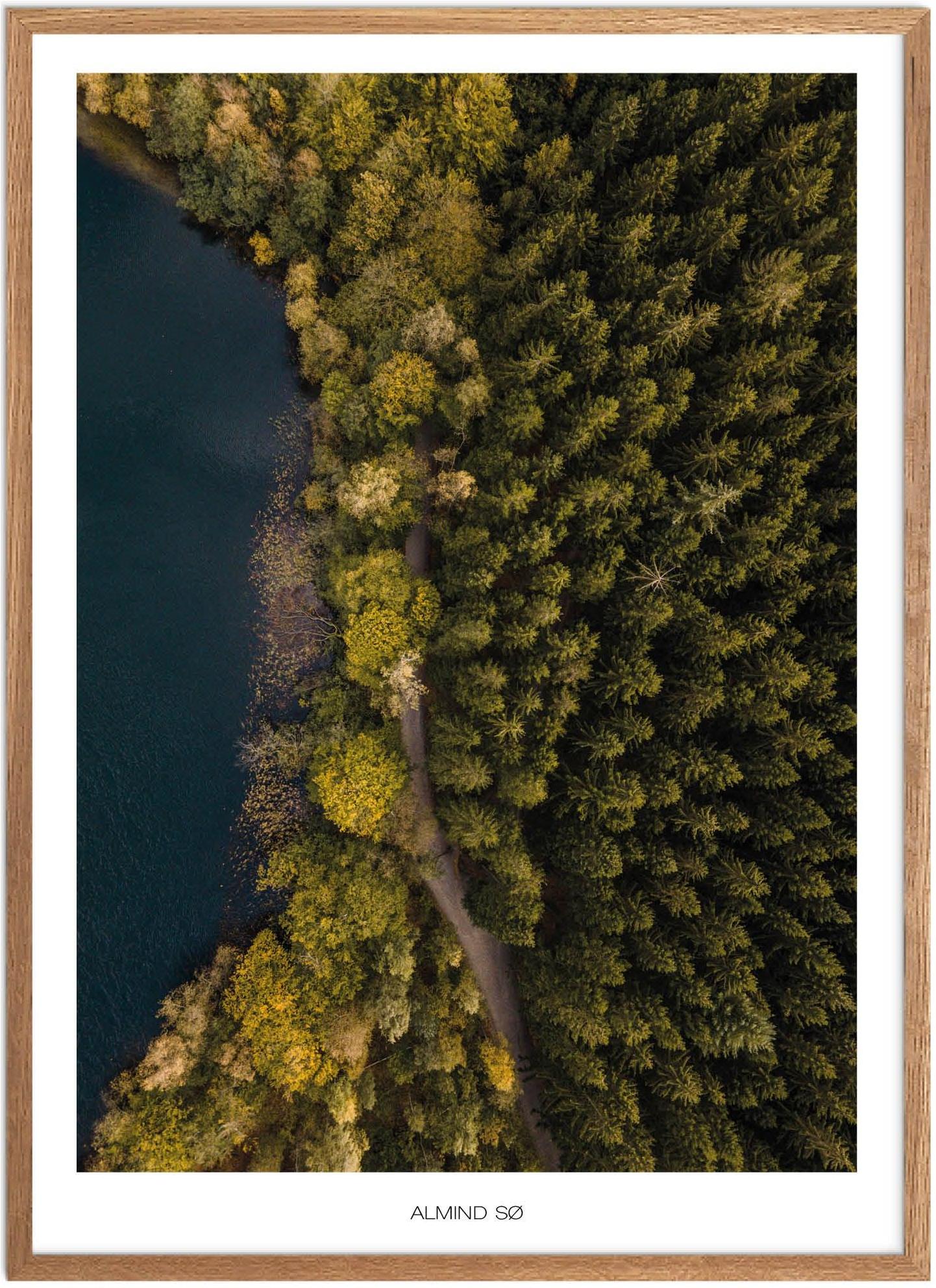 Plakat Almind Naturplakat Plakater Østjylland Plakat Plakatsnedkeren Plakater Midtjylland - Plakatsnedkeren Plakater