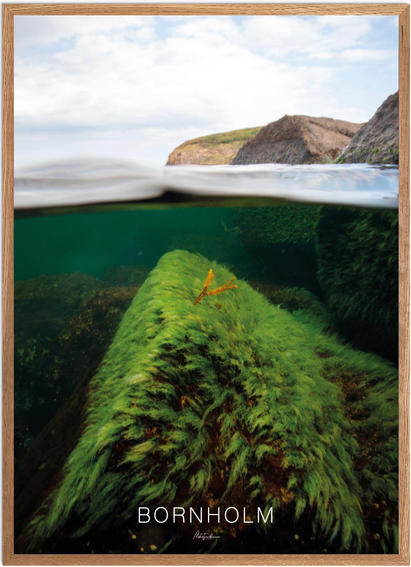Plakat Hammersknuden Naturplakat Recommended Products Seguno Plakat Plakatsnedkeren - Plakatsnedkeren Plakater