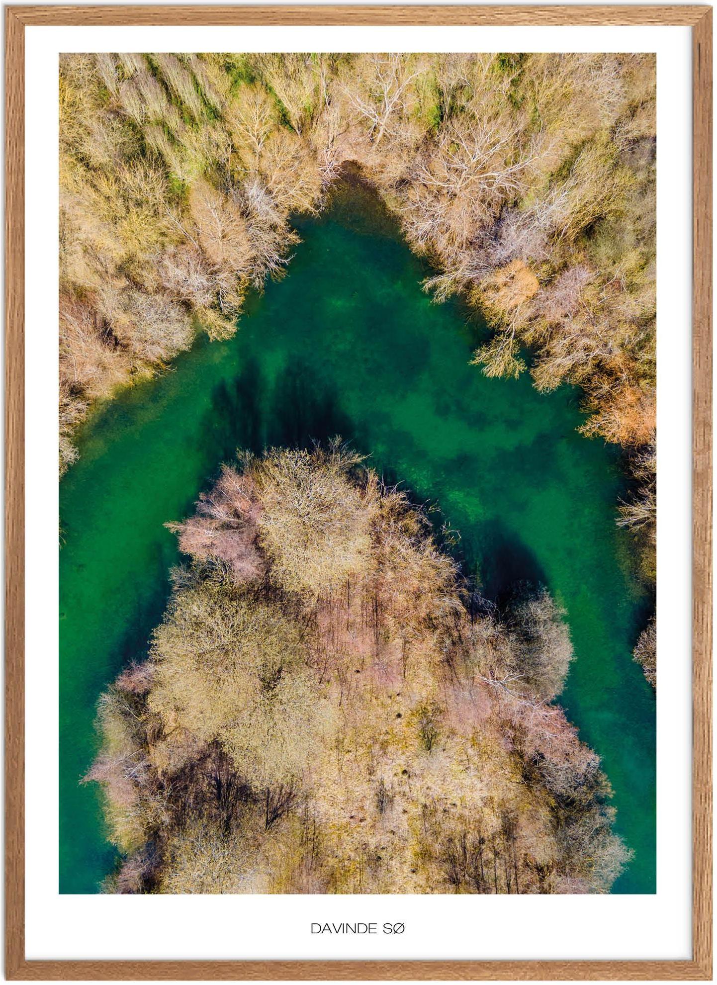 Plakat Davinde Naturplakat Plakater Fyn Plakat Plakatsnedkeren - Plakatsnedkeren Plakater