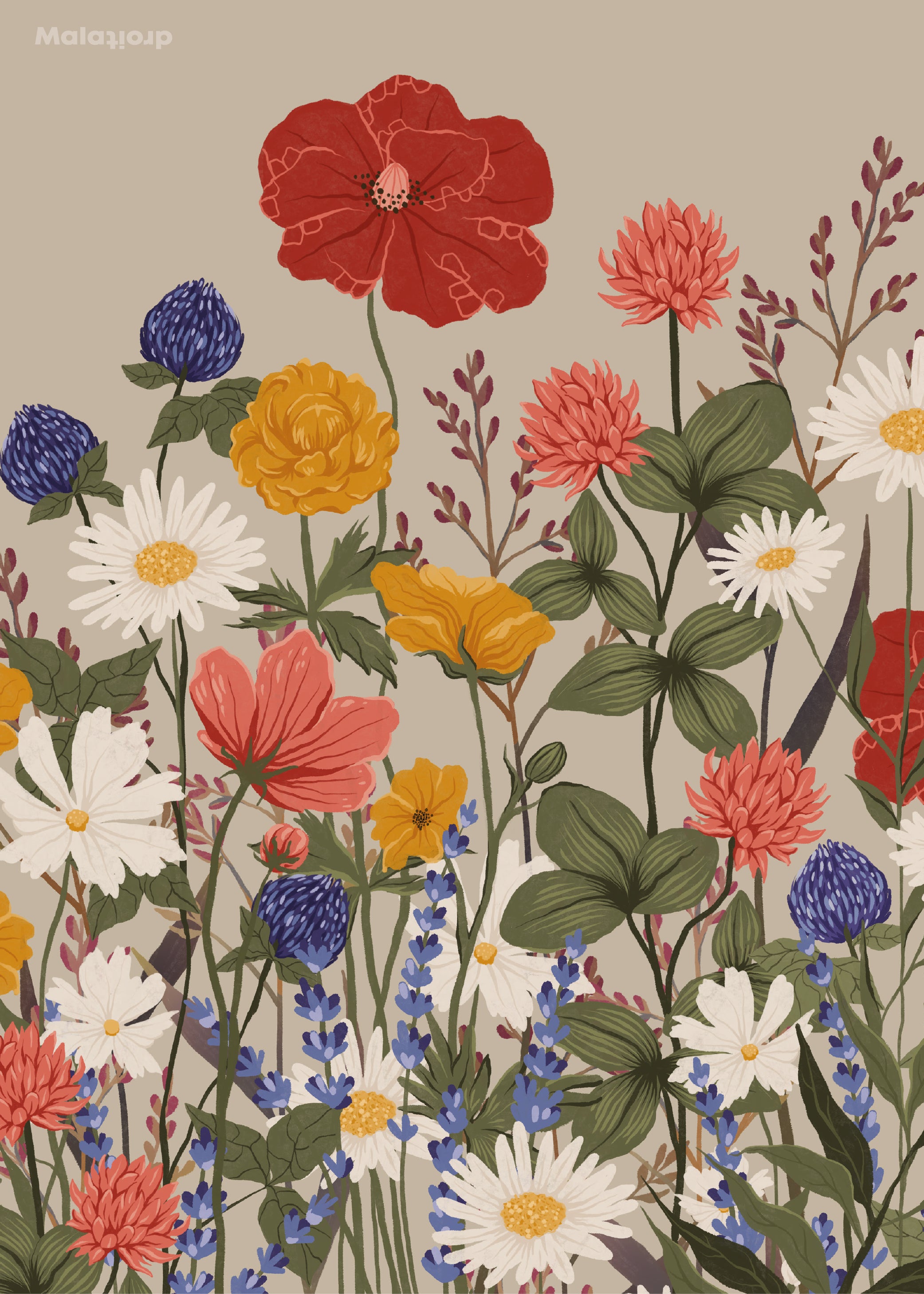 Vilde Blomster Lys - Maladroit.dk Plakater