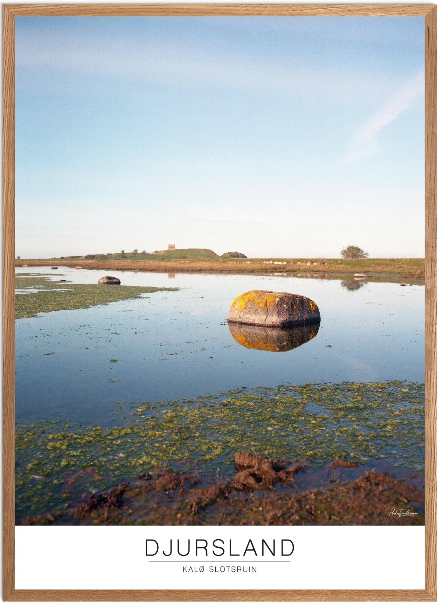 Plakat Kalø Slotsruin Naturplakat Recommended Products Seguno Plakat Plakatsnedkeren - Plakatsnedkeren Plakater