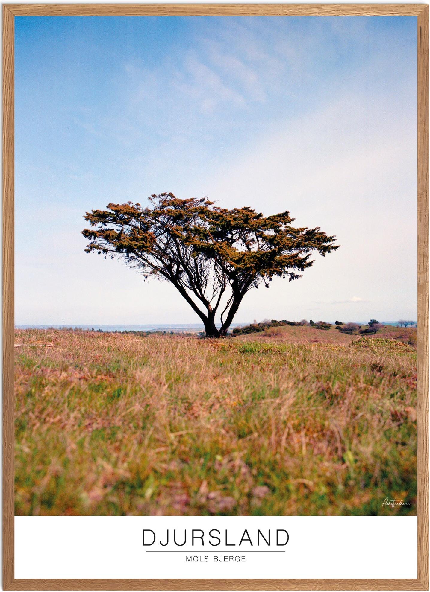 Plakat Mols Bjerge Naturplakat Recommended Products Seguno Plakat Plakatsnedkeren - Plakatsnedkeren Plakater
