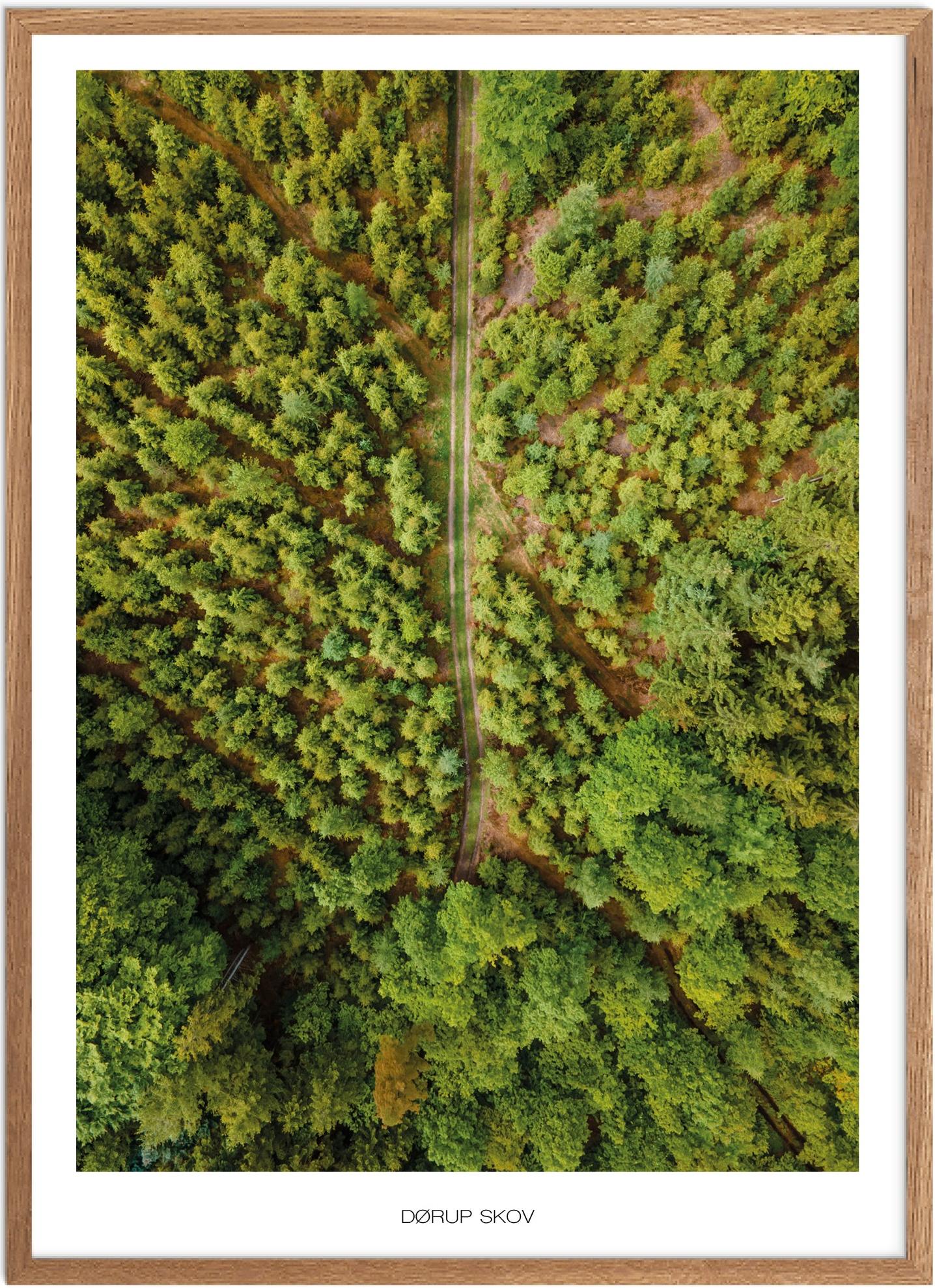 Plakat Dørup Skov Naturplakat Plakater Østjylland Plakat Plakatsnedkeren Drone Plakater - Plakatsnedkeren Plakater