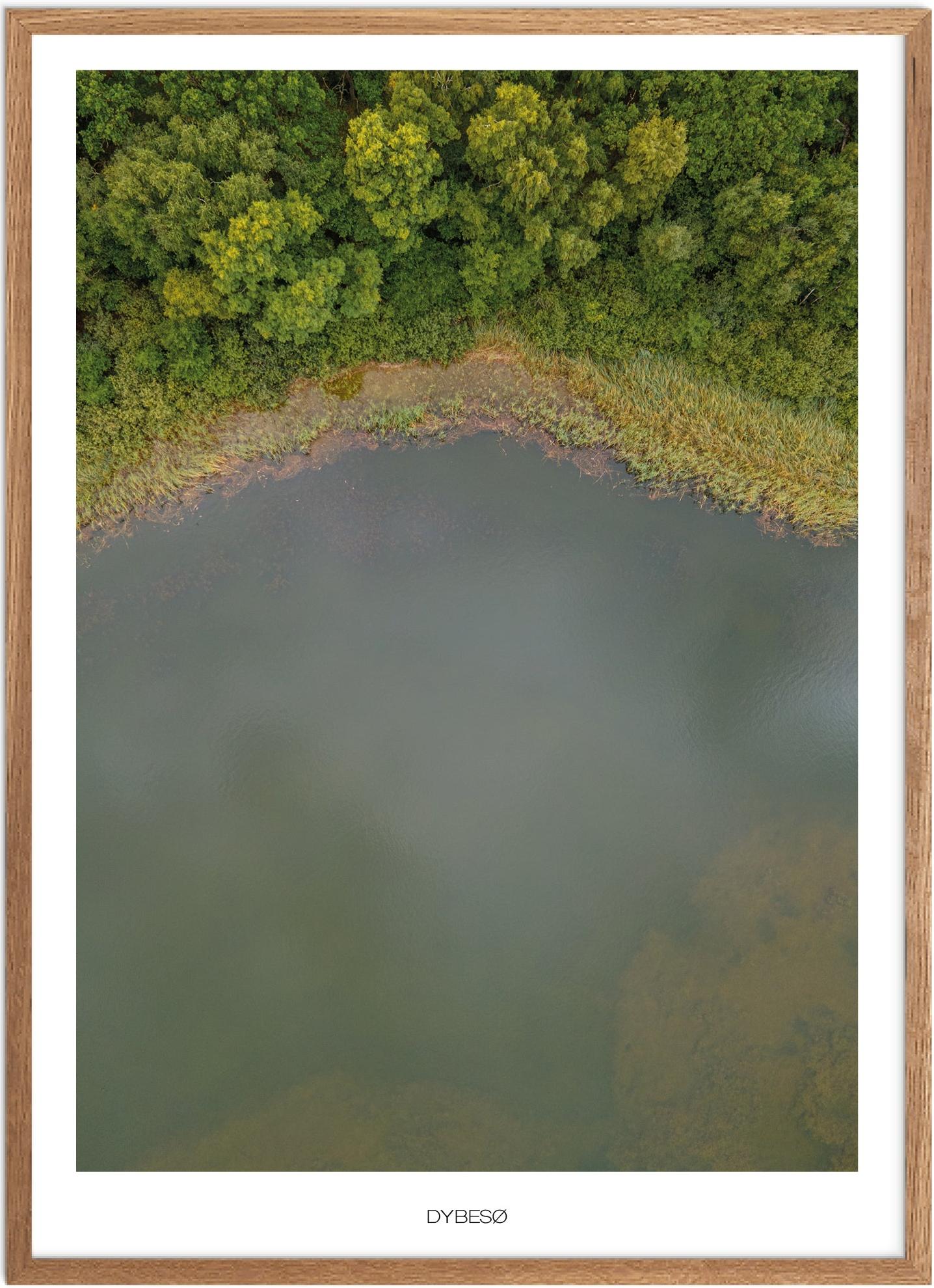 Plakat Dybesø Naturplakat Plakater Vestsjælland Plakat Plakatsnedkeren Plakater Odsherred - Plakatsnedkeren Plakater