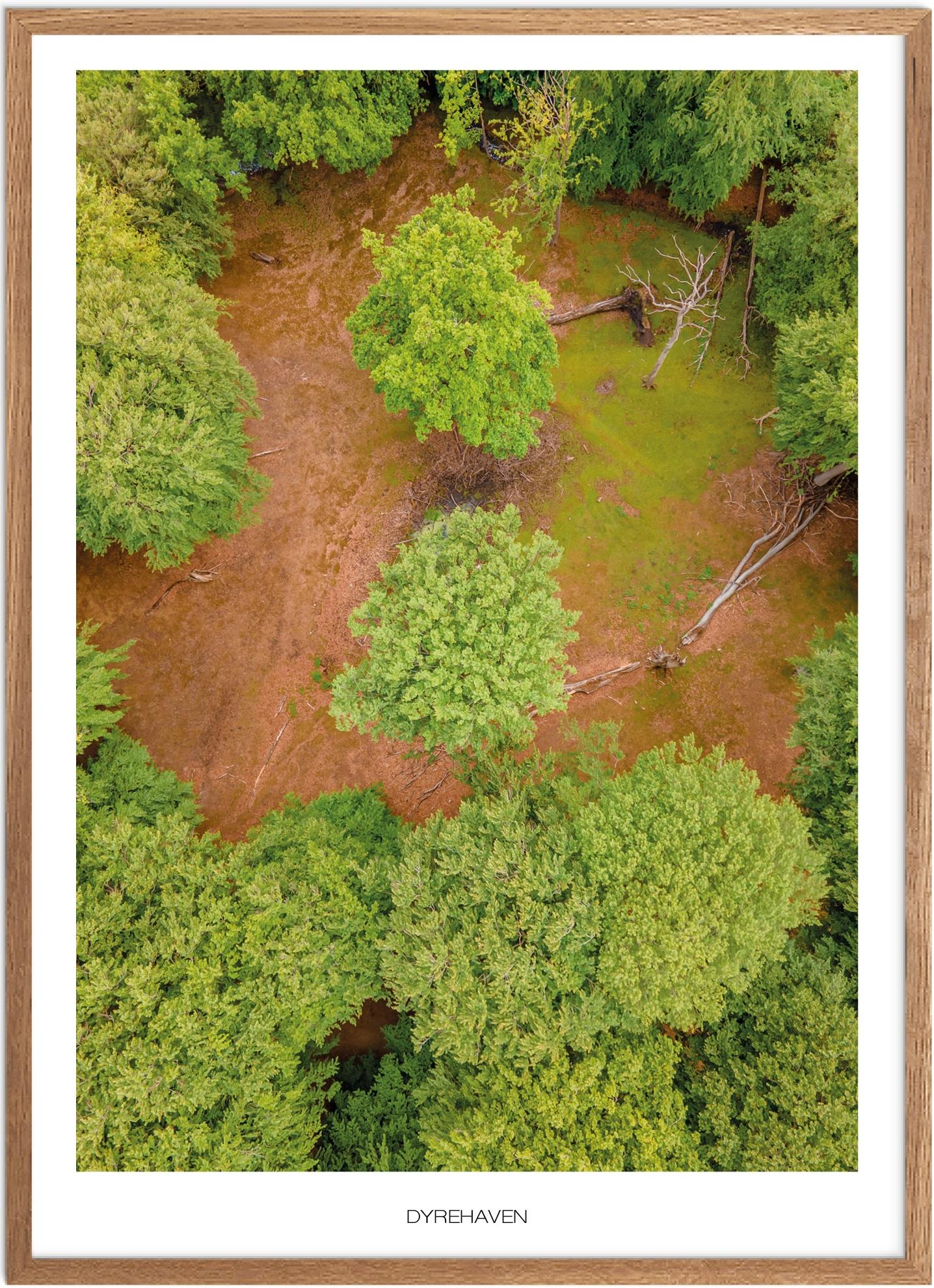 Plakat Dyrehaven Naturplakat Plakater Sydjylland Plakat Plakatsnedkeren Bestsellere - Plakatsnedkeren Plakater
