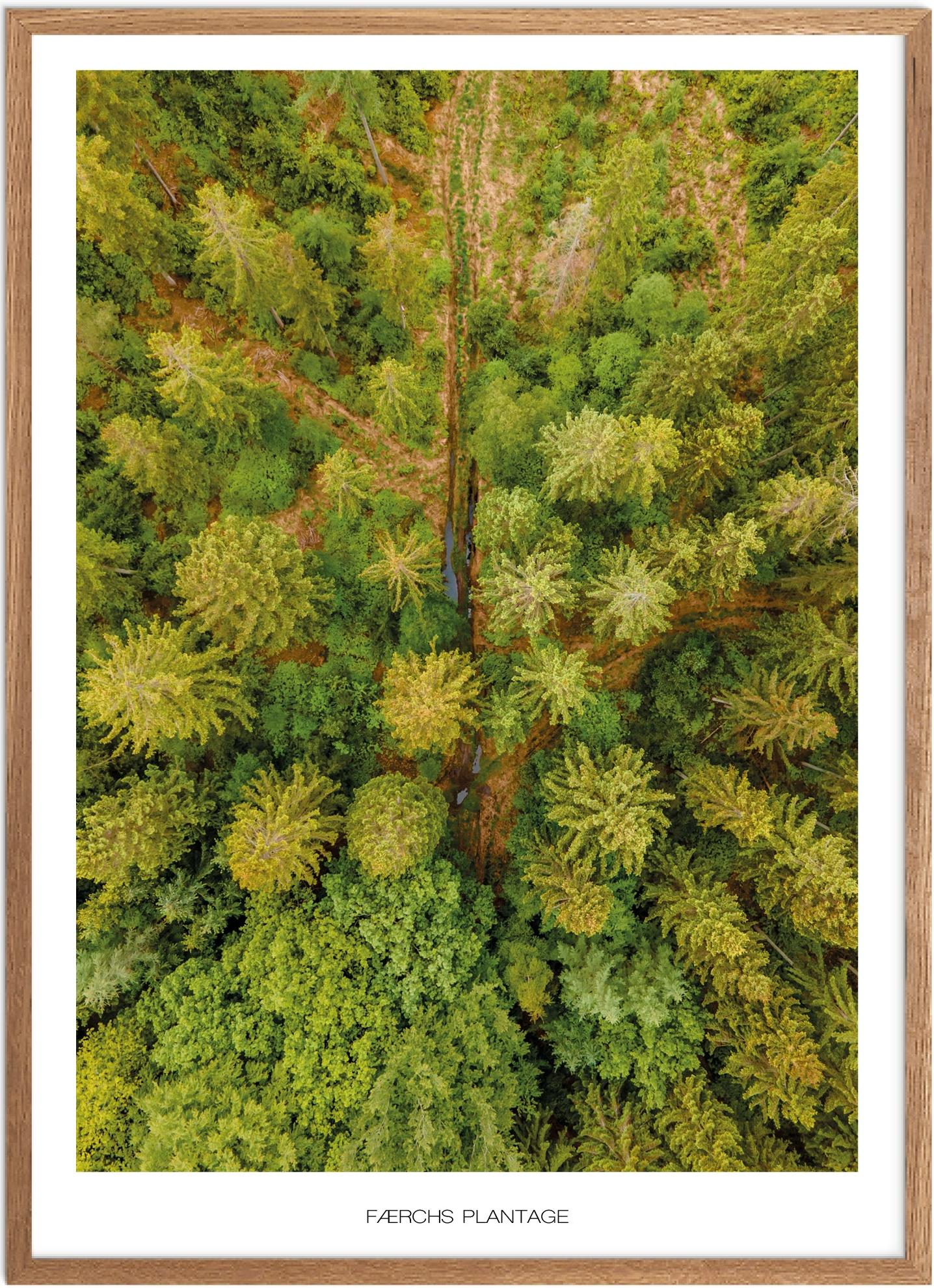Plakat Færchs Plantage Naturplakat Plakater Østjylland Plakat Plakatsnedkeren Drone Plakater - Plakatsnedkeren Plakater