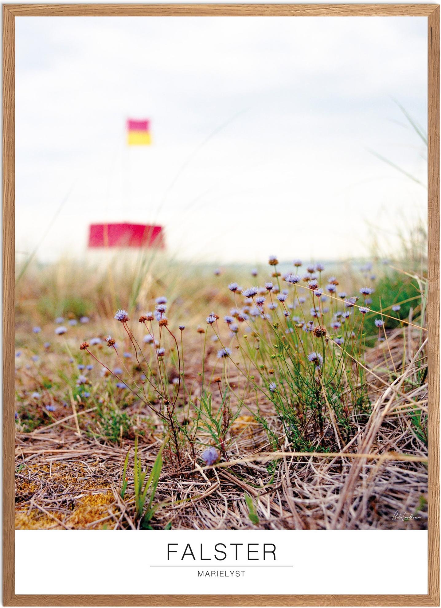 Plakat Marielyst Strand Naturplakat Recommended Products Seguno Plakat Plakatsnedkeren - Plakatsnedkeren Plakater