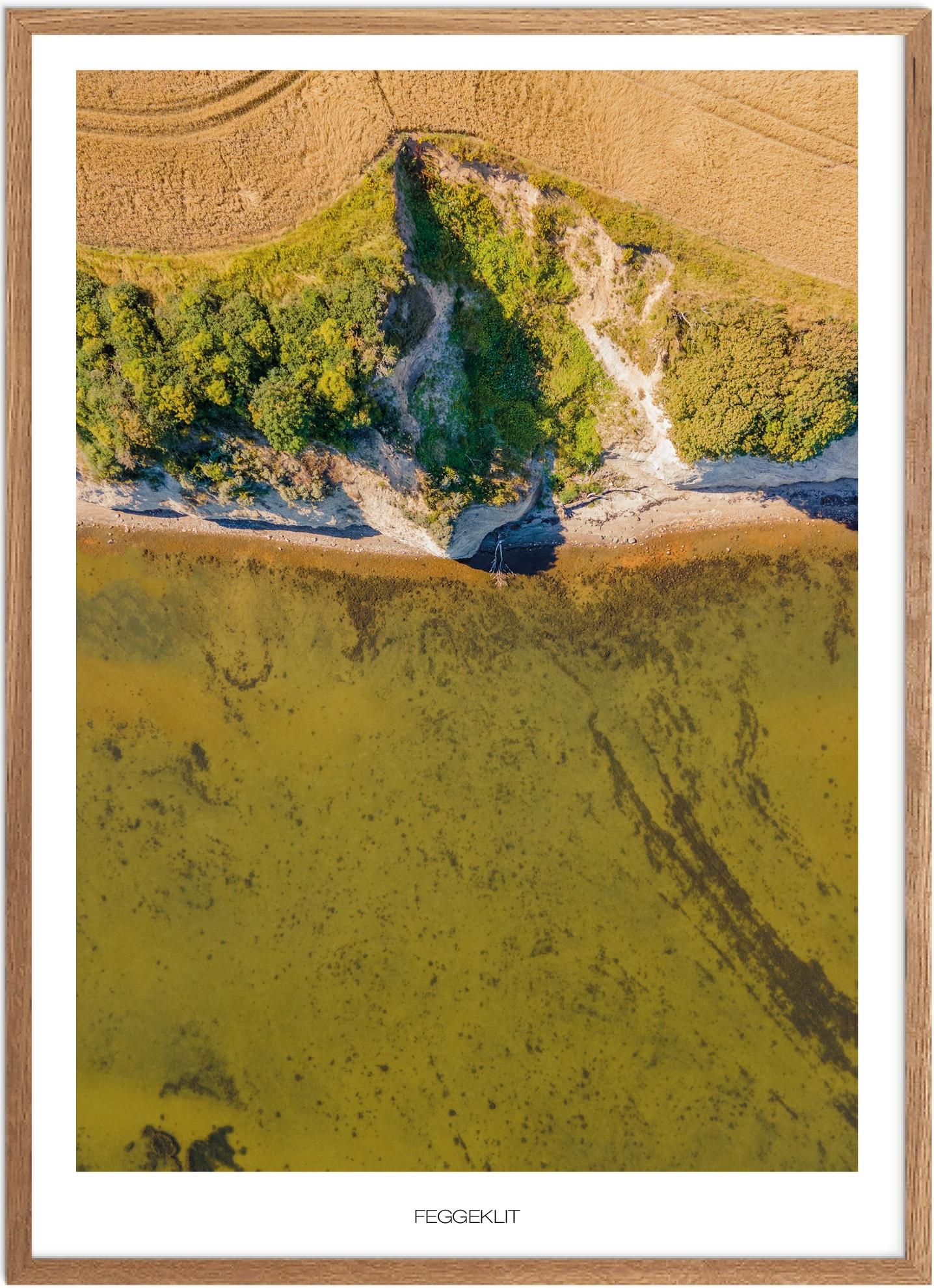 Plakat Feggeklit Naturplakat Plakater Nordjylland Plakat Plakatsnedkeren Bestsellere - Plakatsnedkeren Plakater