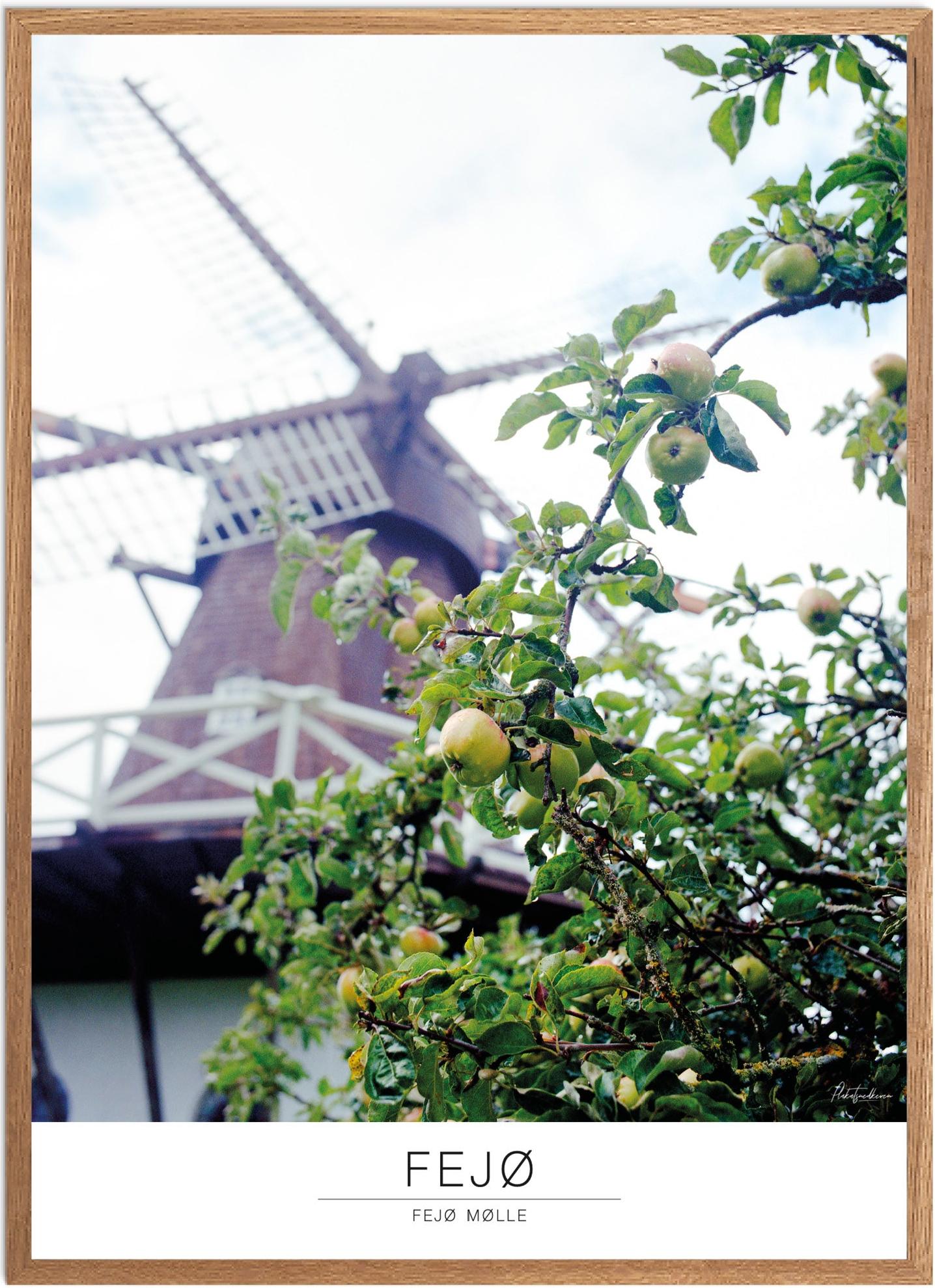 Plakat Fejø Mølle Naturplakat Recommended Products Seguno Plakat Plakatsnedkeren - Plakatsnedkeren Plakater