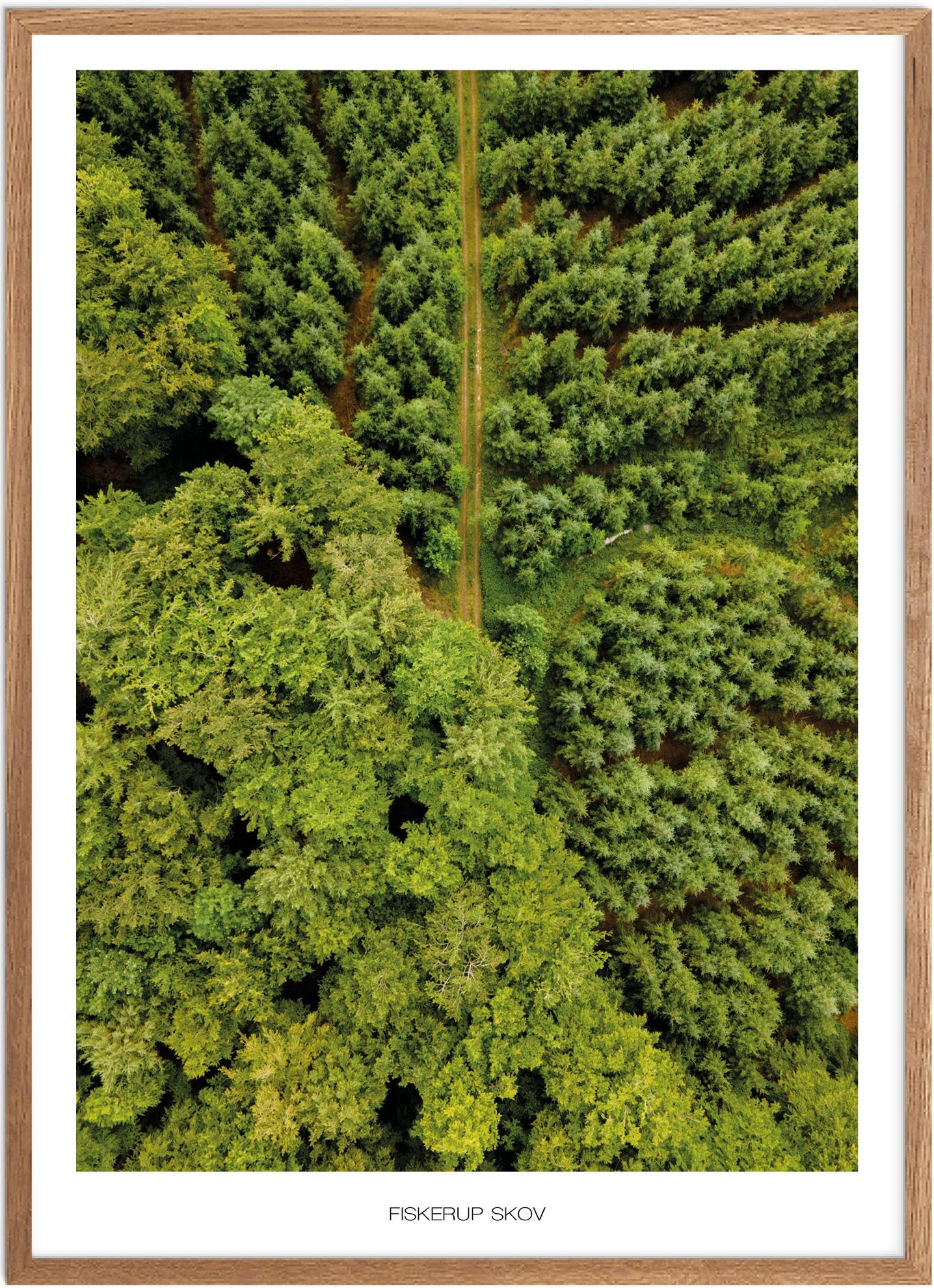 Plakat Fiskerup Skov Naturplakat Plakater Fyn Plakat Plakatsnedkeren Drone Plakater - Plakatsnedkeren Plakater