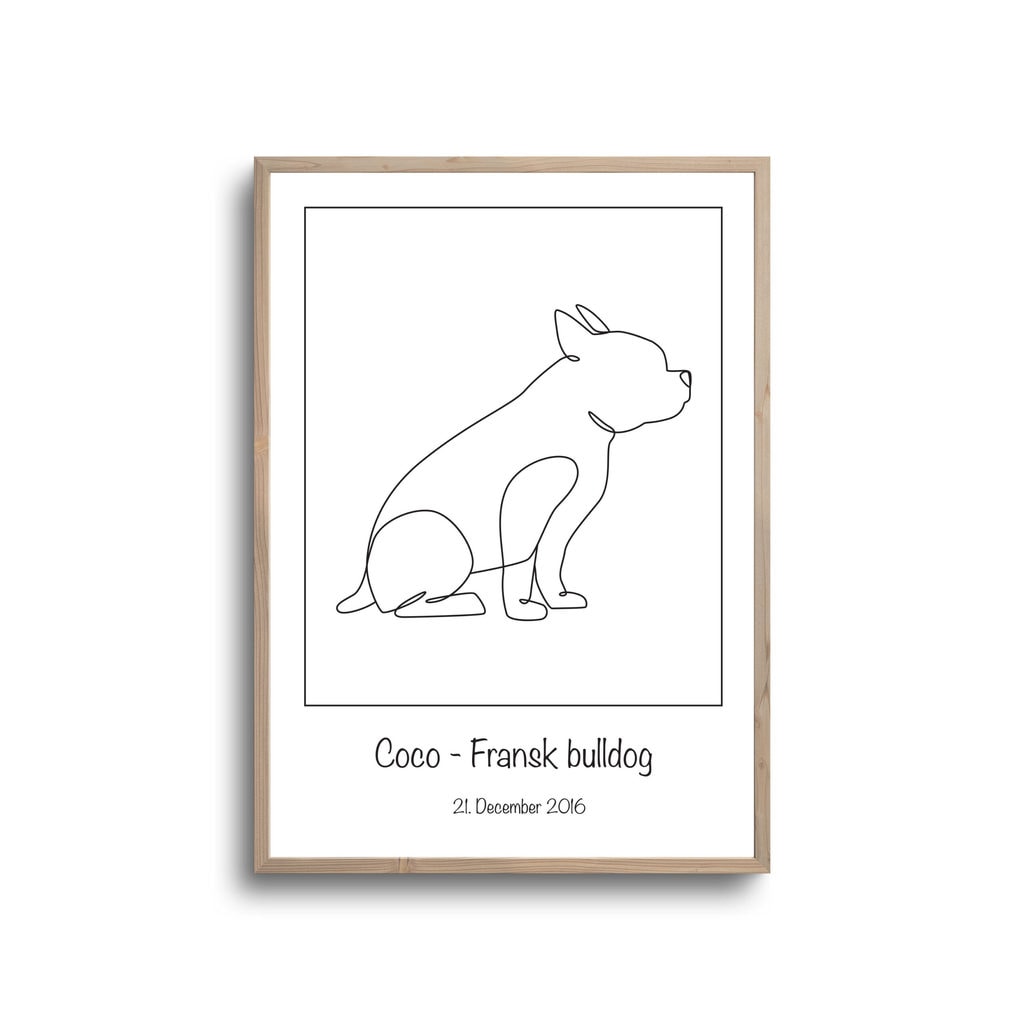 Fransk Bulldog Plakat - Plakater