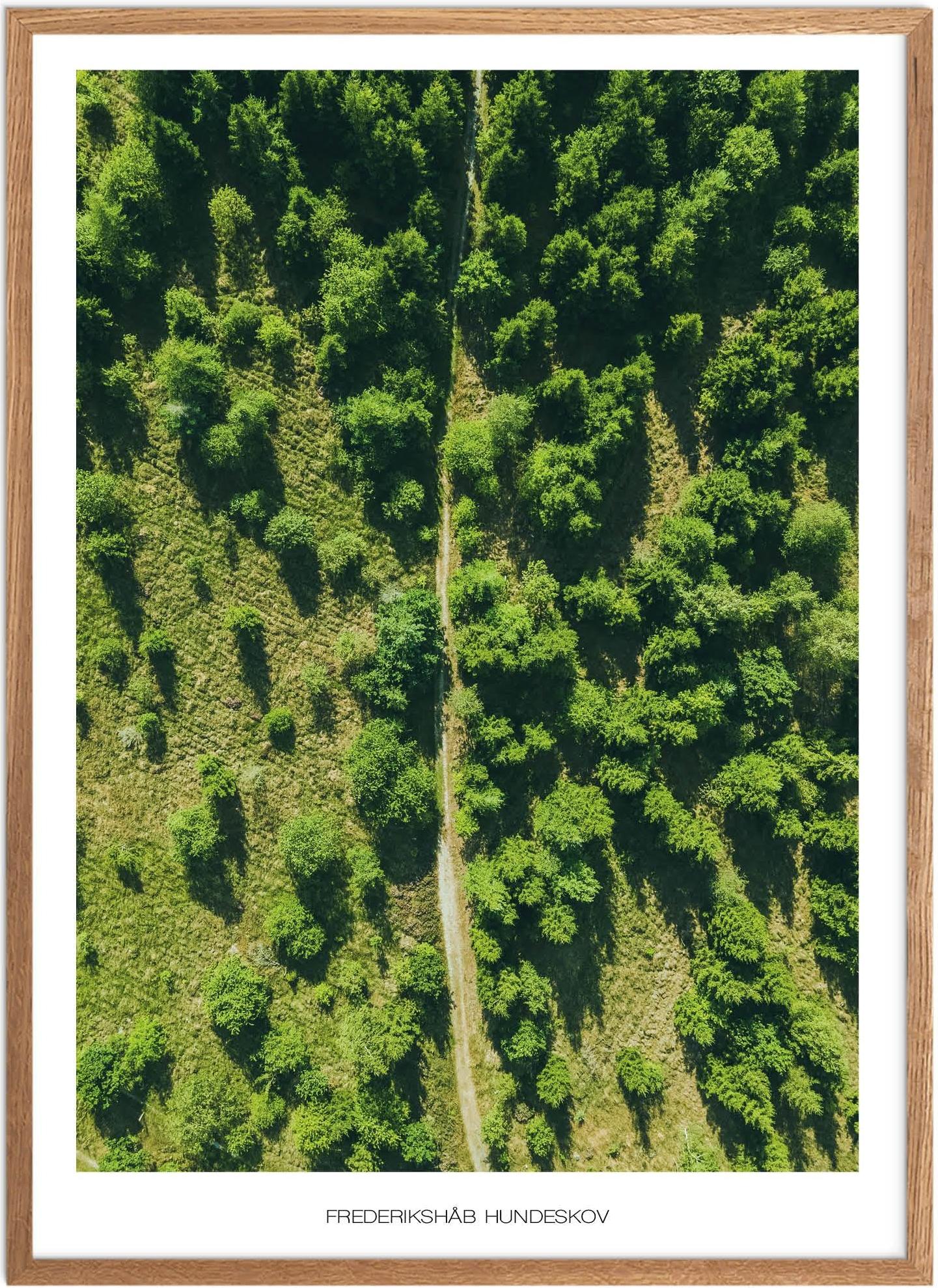 Plakat Frederikshåb Hundeskov Naturplakat Plakater Sydjylland Plakat Plakatsnedkeren Plakater Midtjylland - Plakatsnedkeren Plakater
